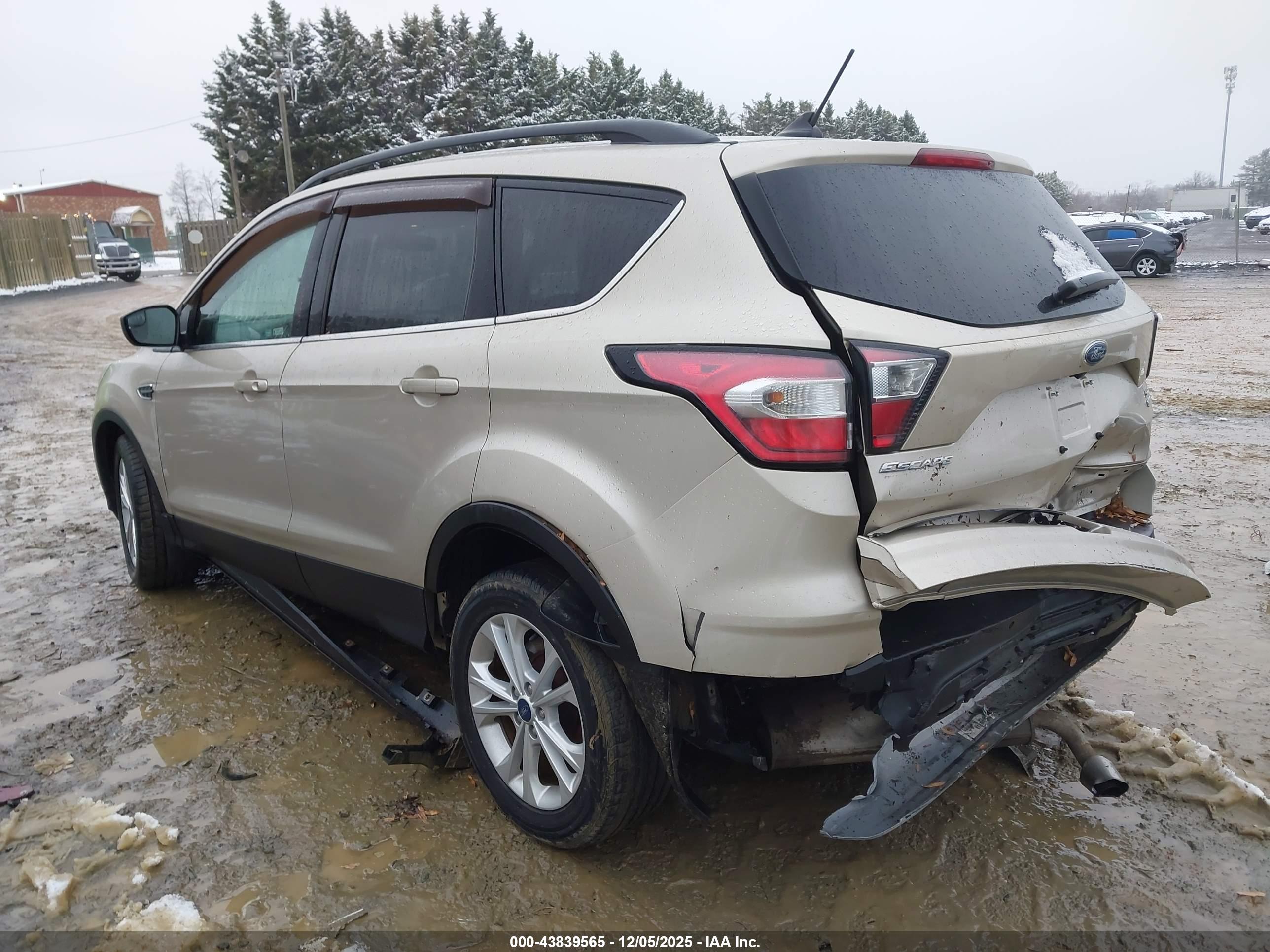 FORD ESCAPE image 3