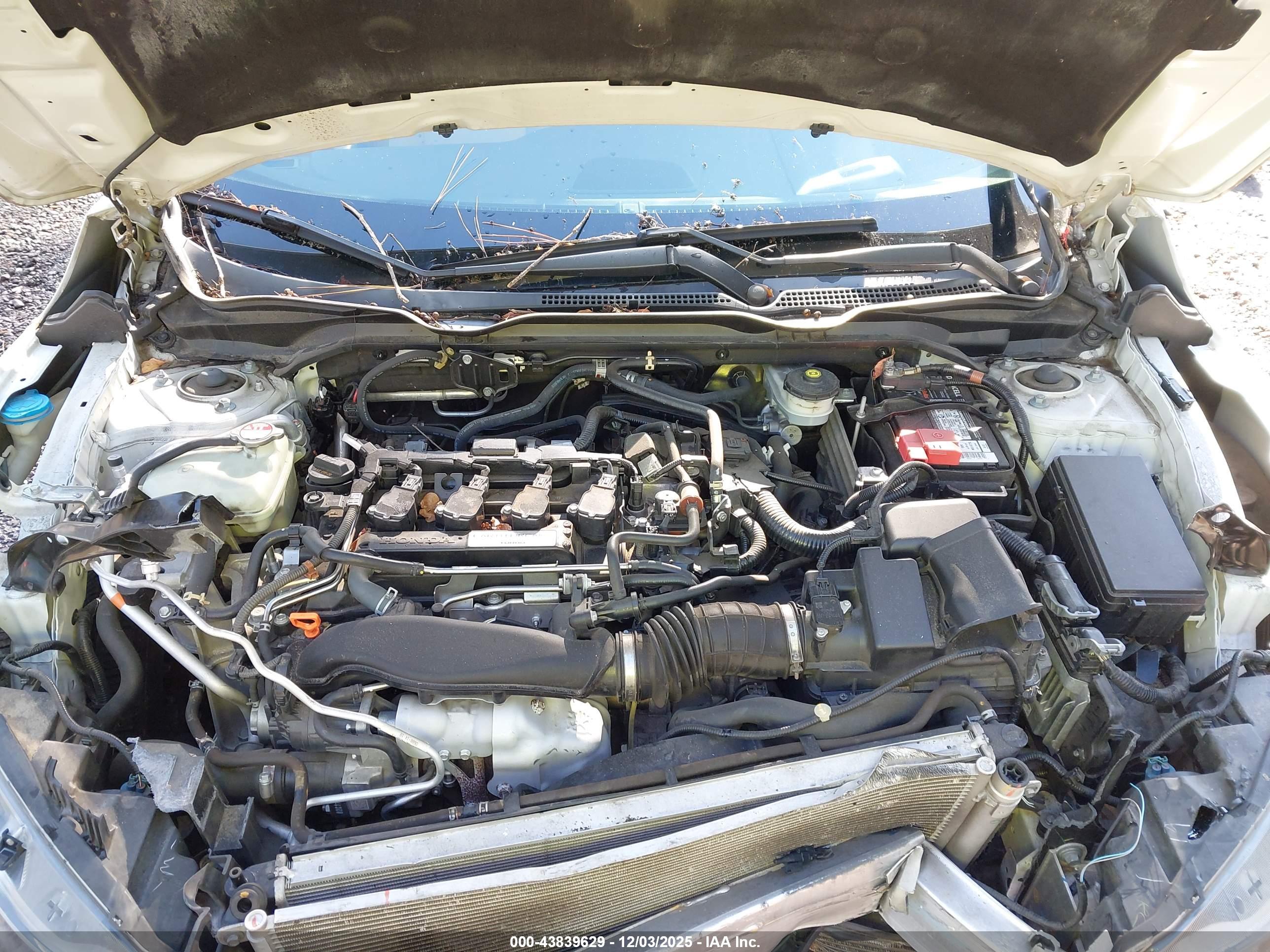 HONDA CIVIC image 10
