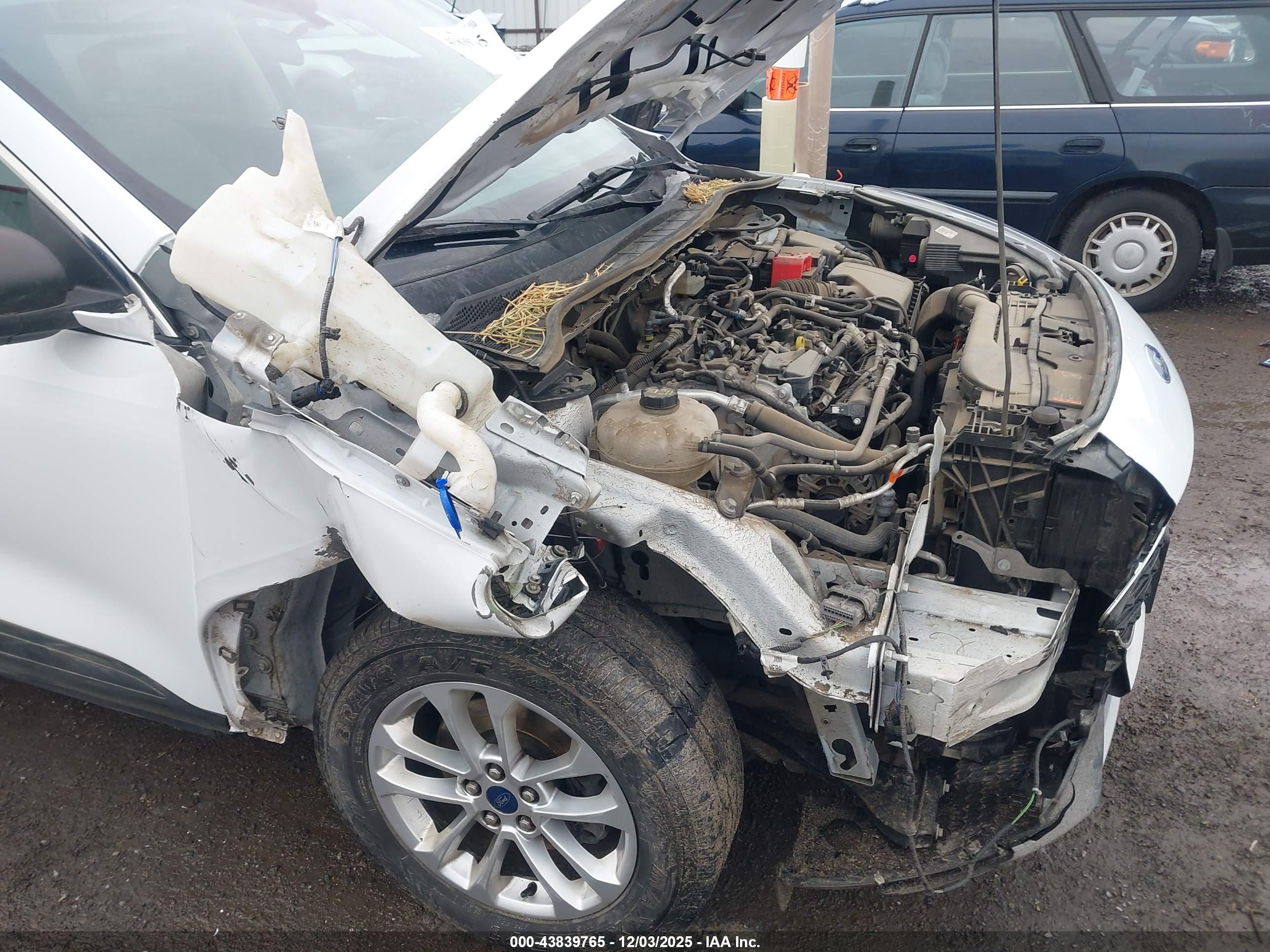 FORD ESCAPE image 6