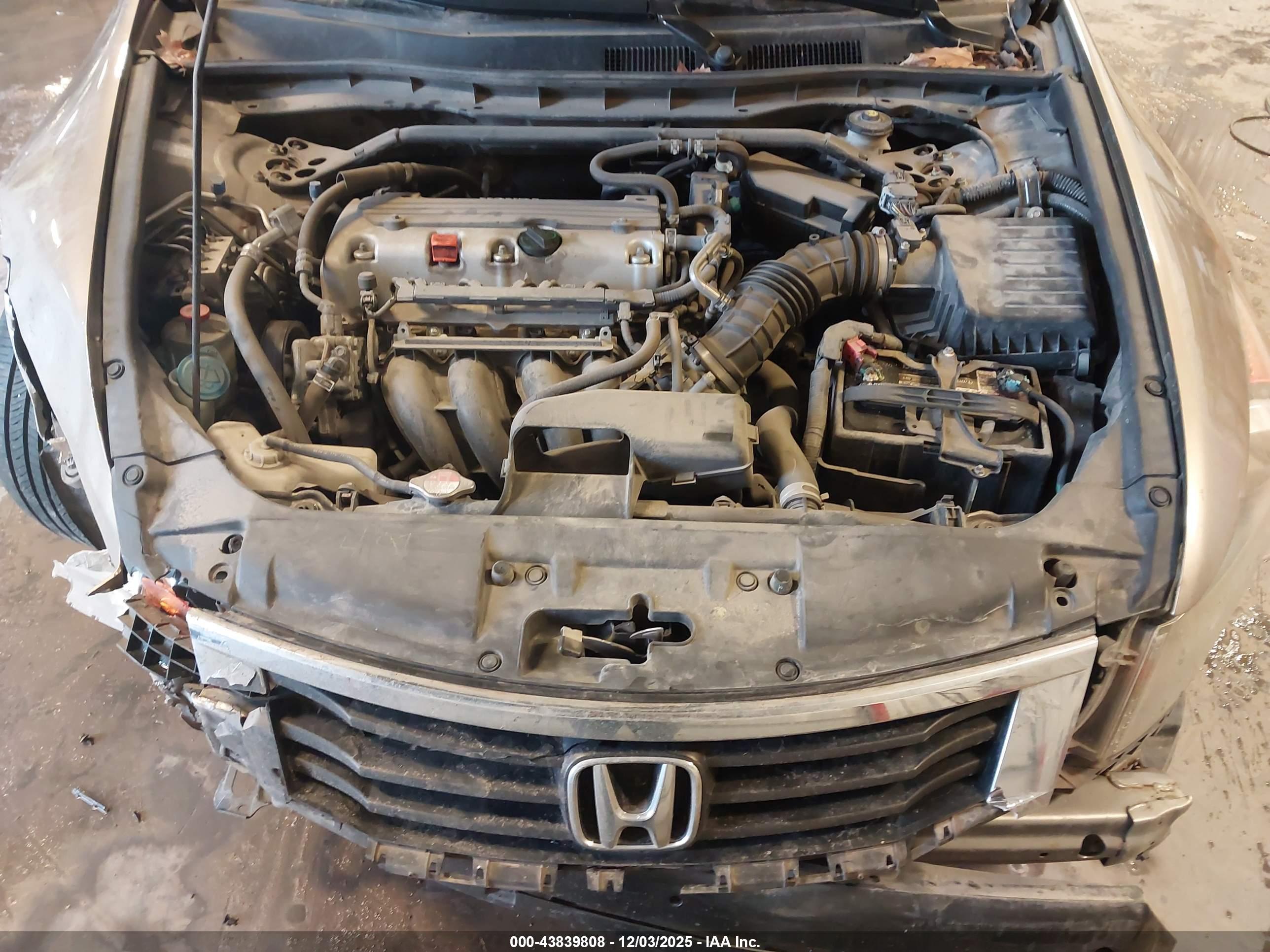 HONDA ACCORD image 10