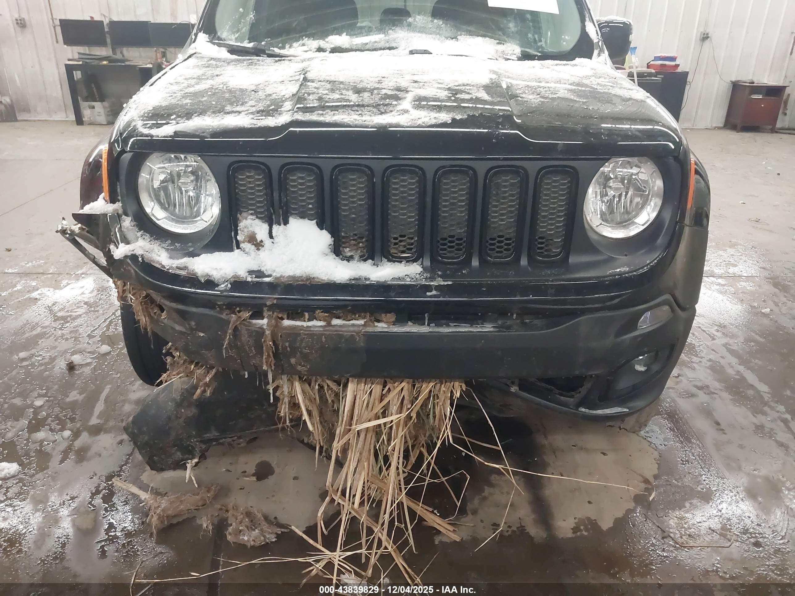 JEEP RENEGADE image 6