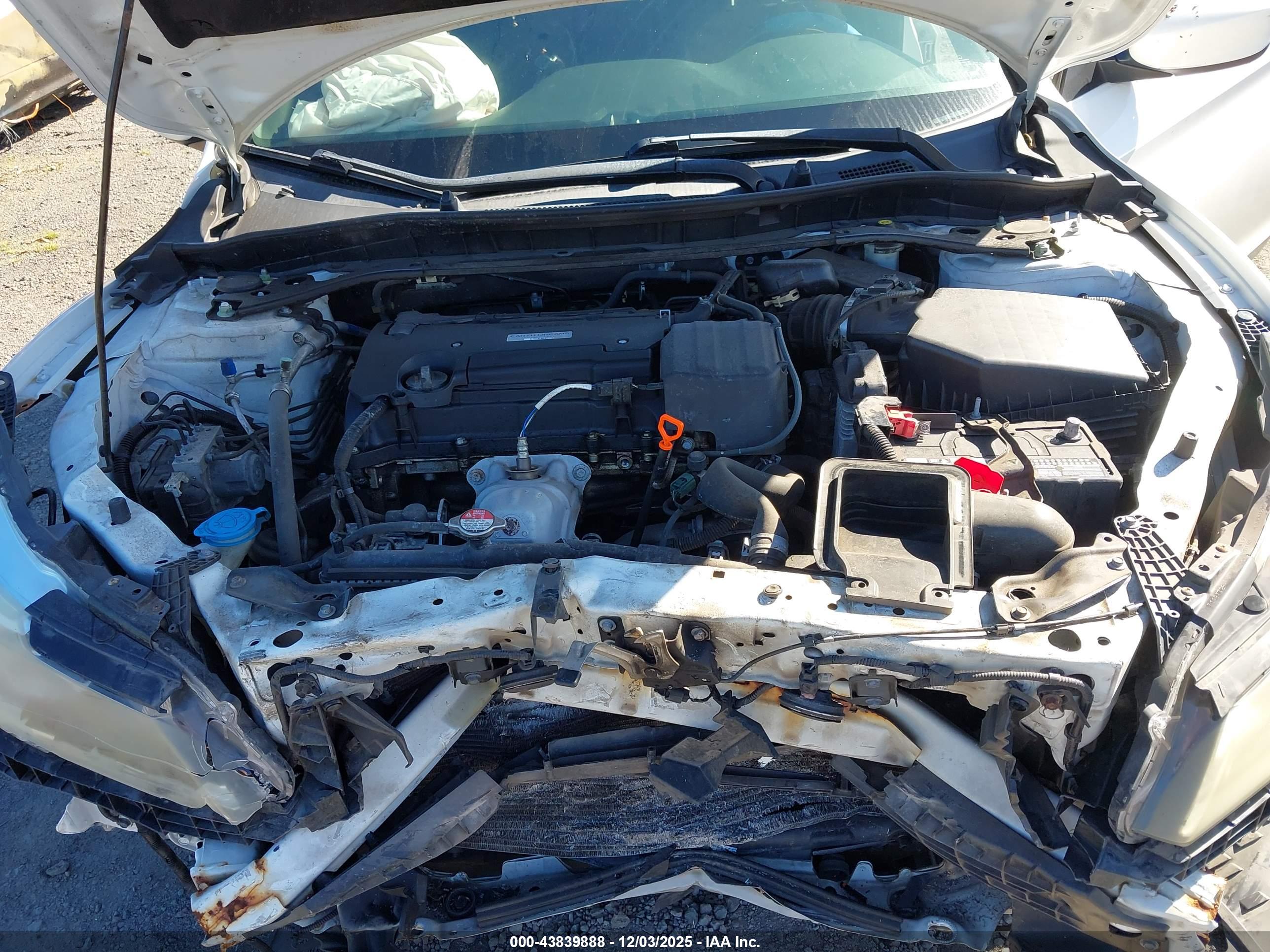 HONDA ACCORD image 10