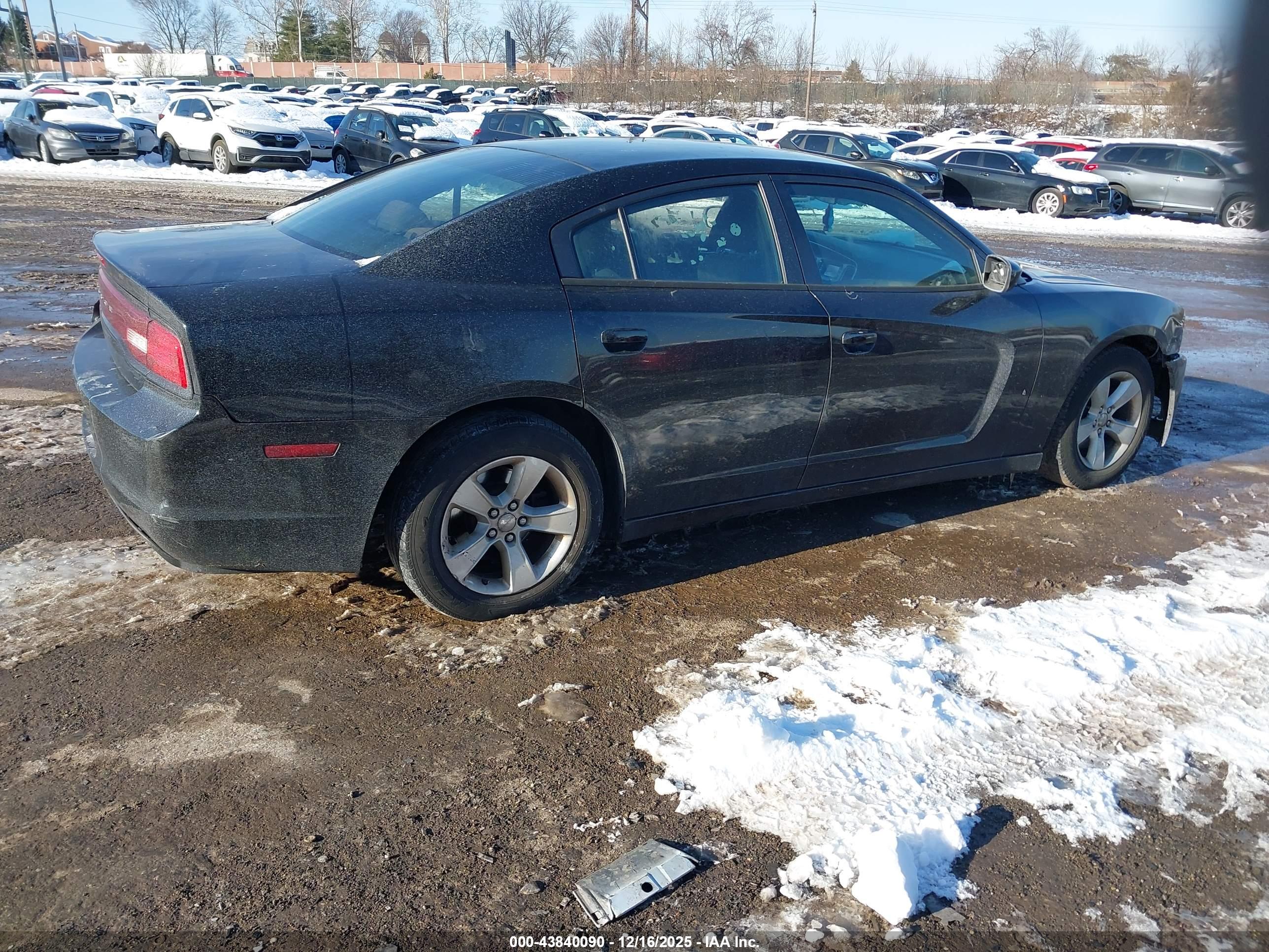 DODGE CHARGER image 4
