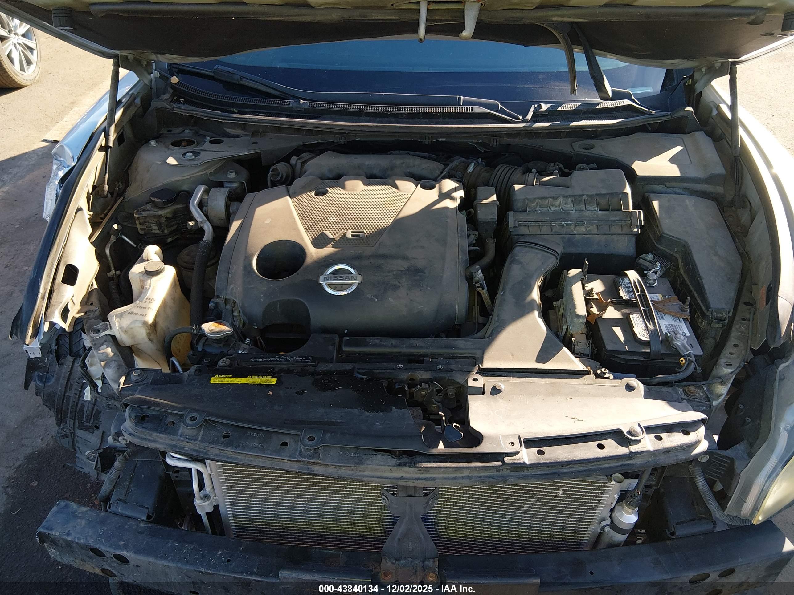 NISSAN MAXIMA image 10