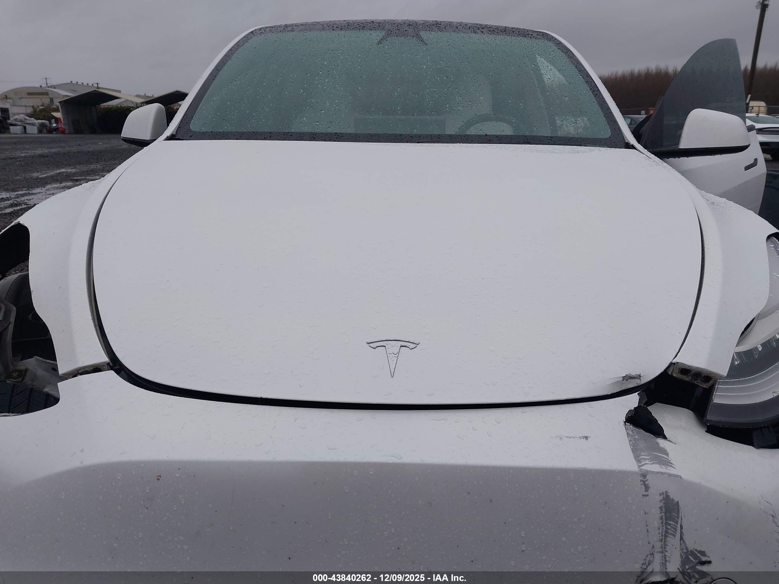 TESLA MODEL image 10