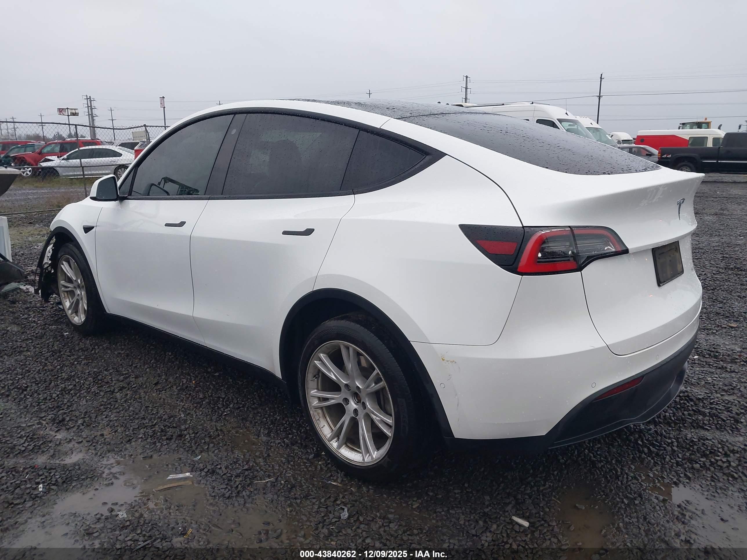 TESLA MODEL image 3