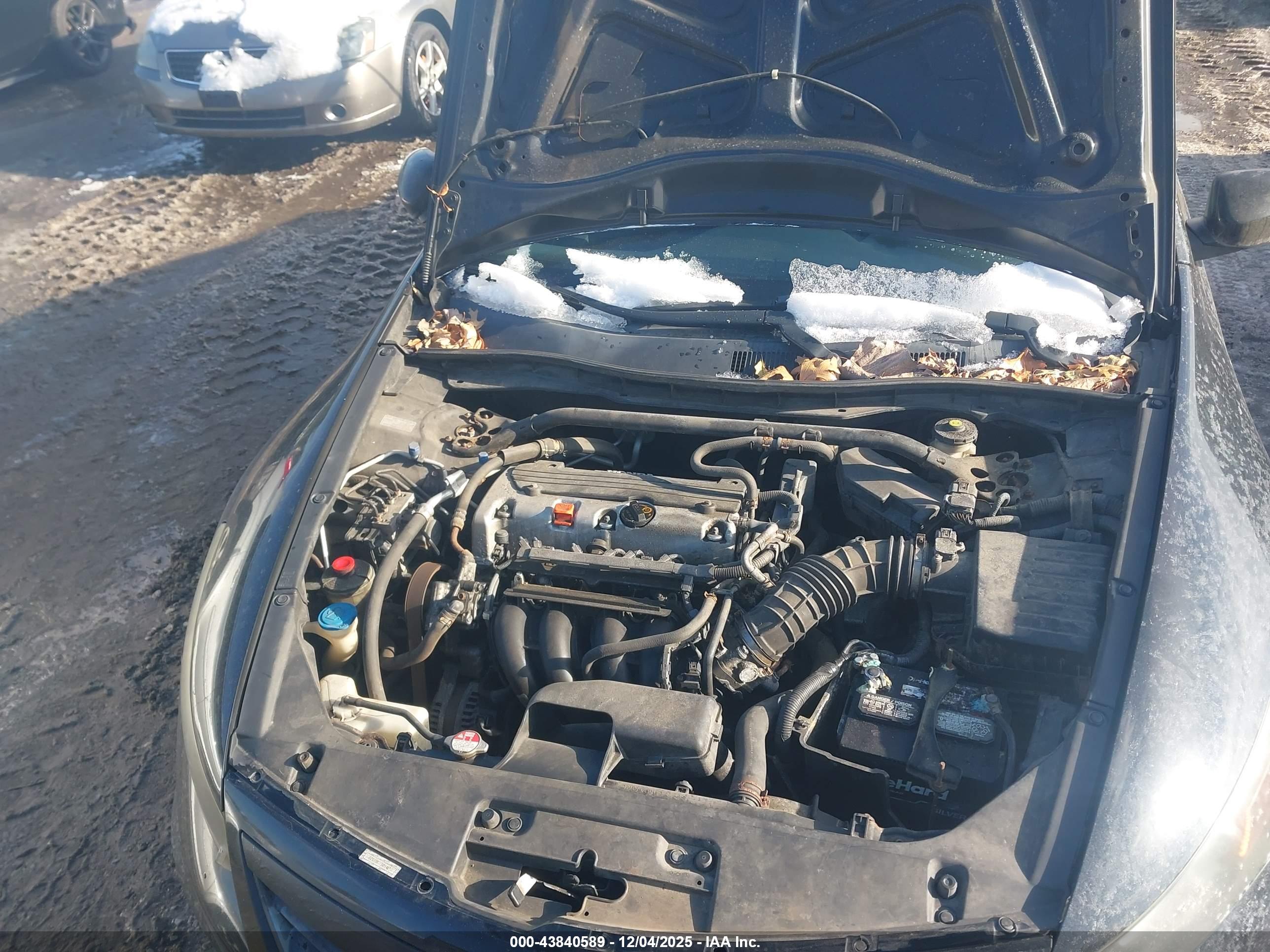 HONDA ACCORD image 10