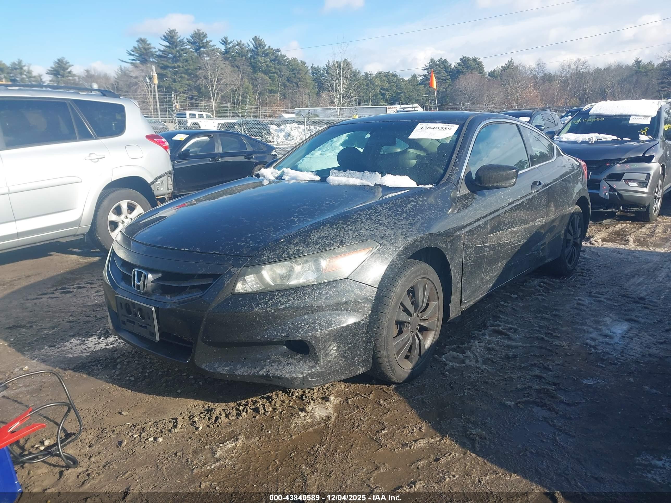 HONDA ACCORD image 2