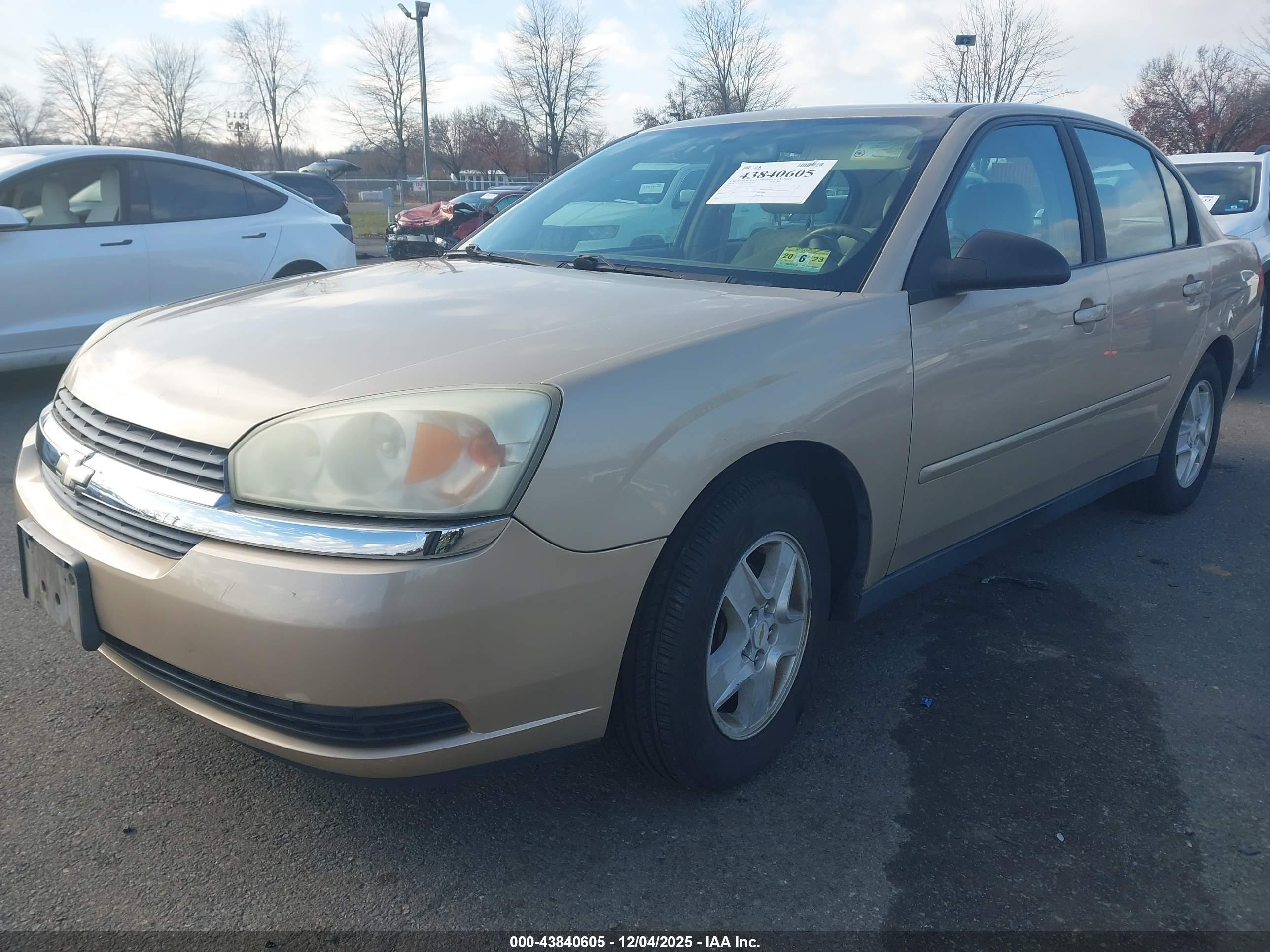 CHEVROLET MALIBU image 2