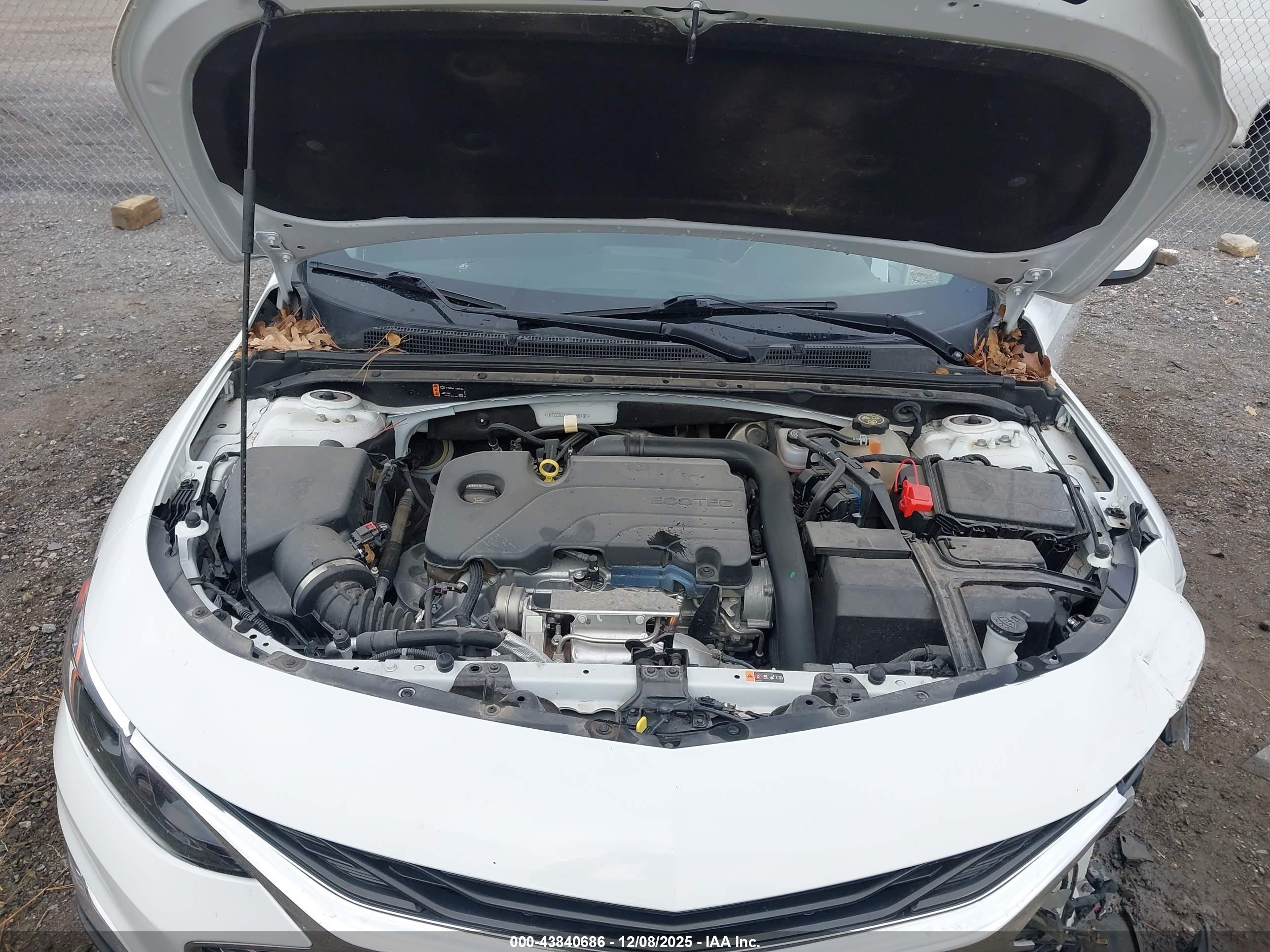 CHEVROLET MALIBU image 10