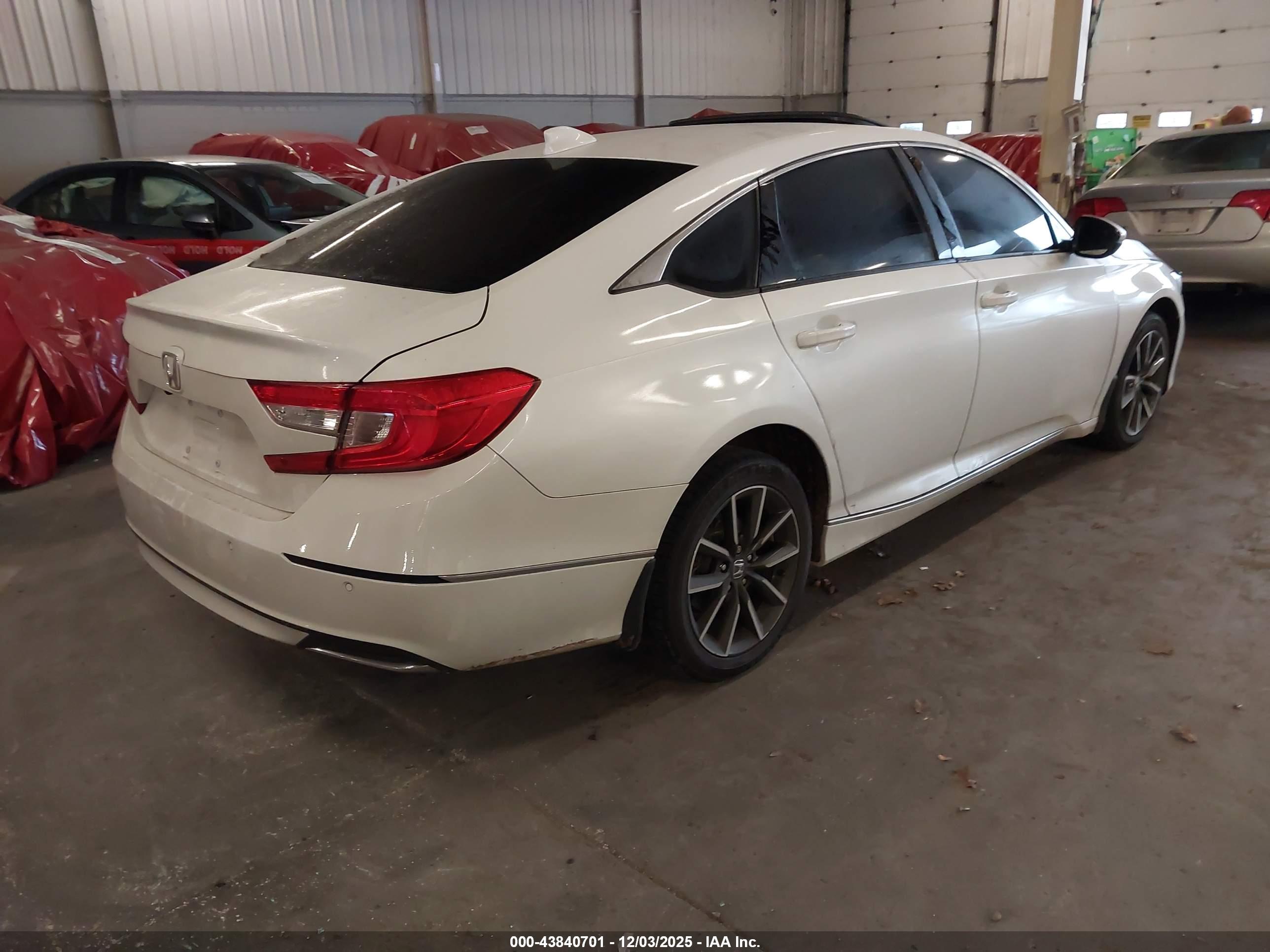 HONDA ACCORD image 4
