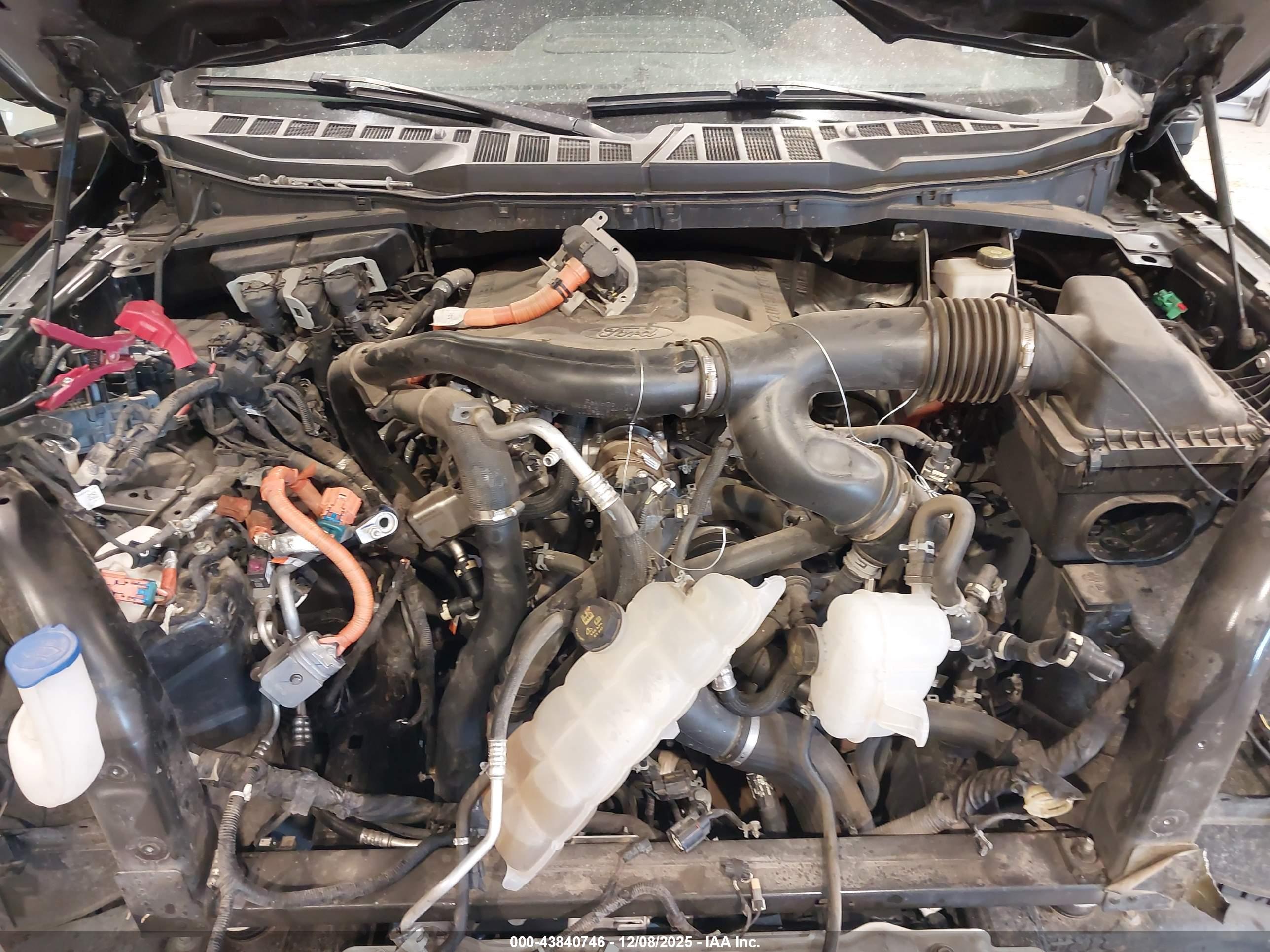FORD F-150 image 10