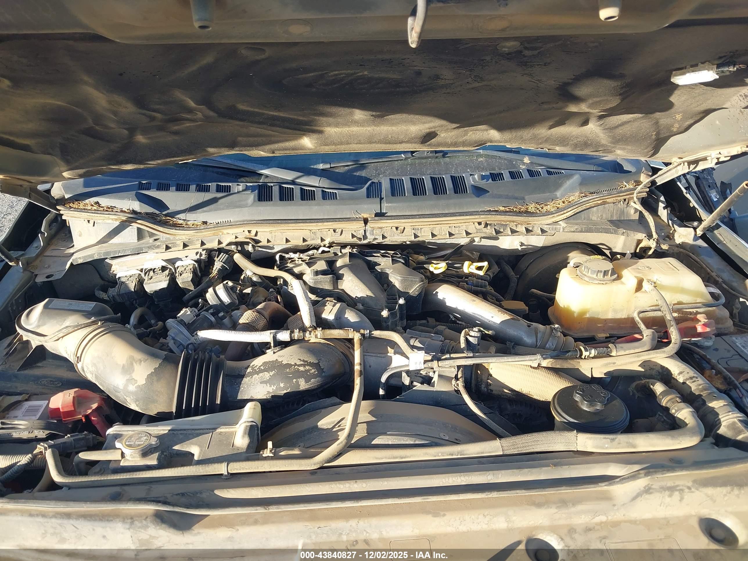 FORD F-250 image 10