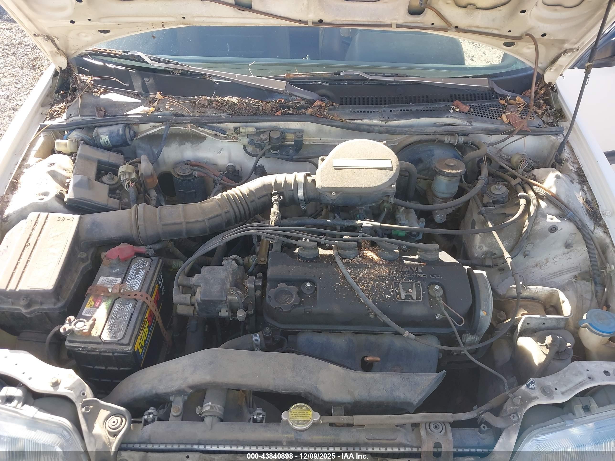 HONDA CIVIC image 10