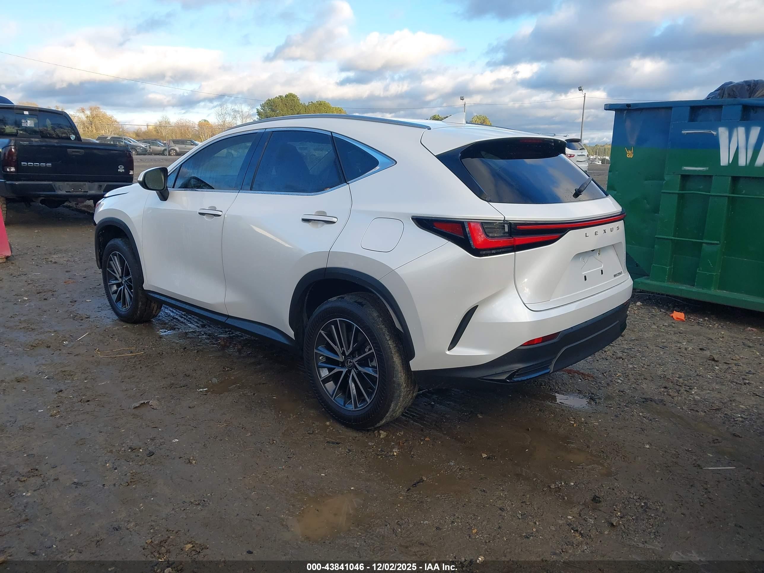 LEXUS NX image 3