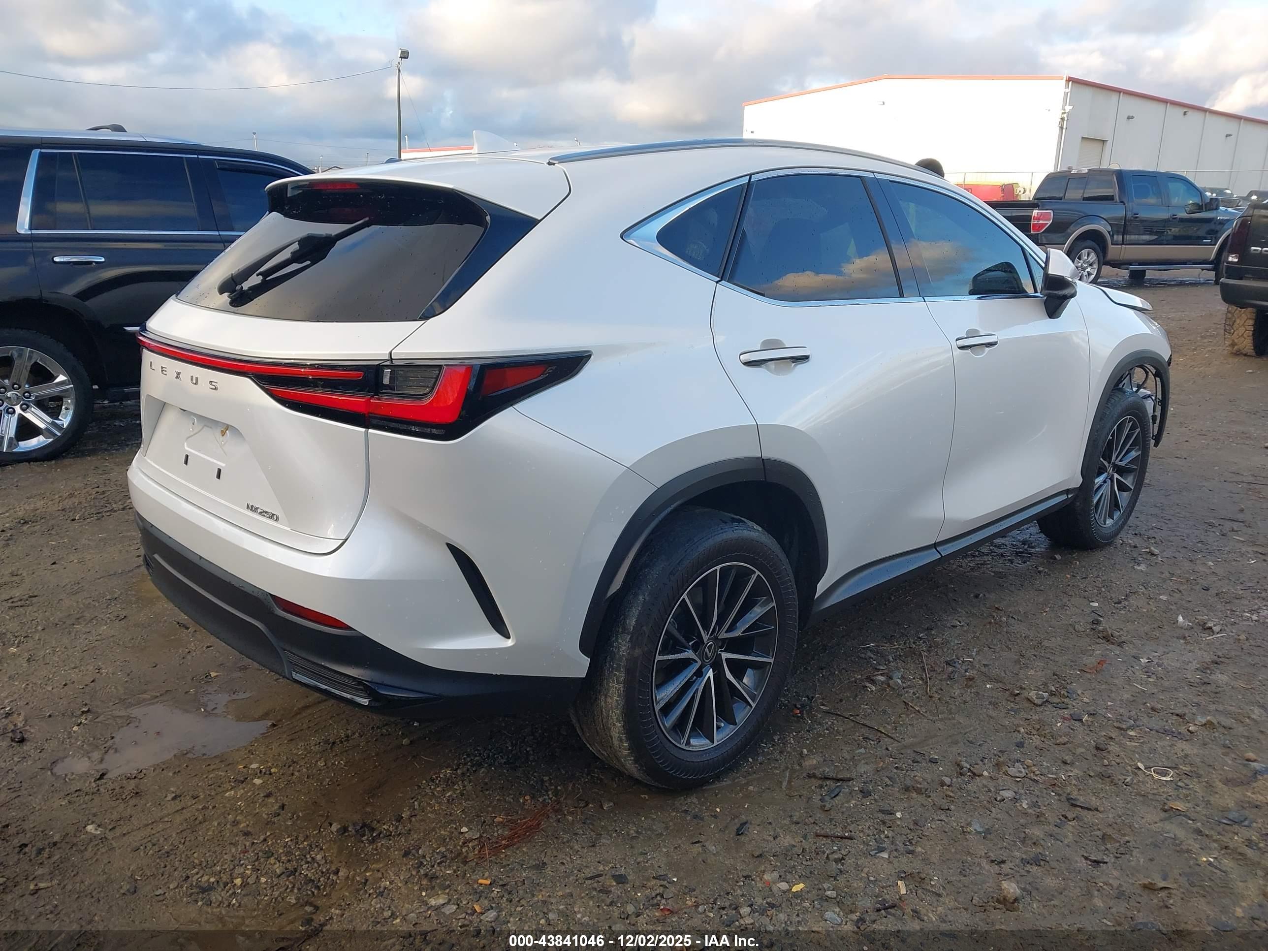 LEXUS NX image 4