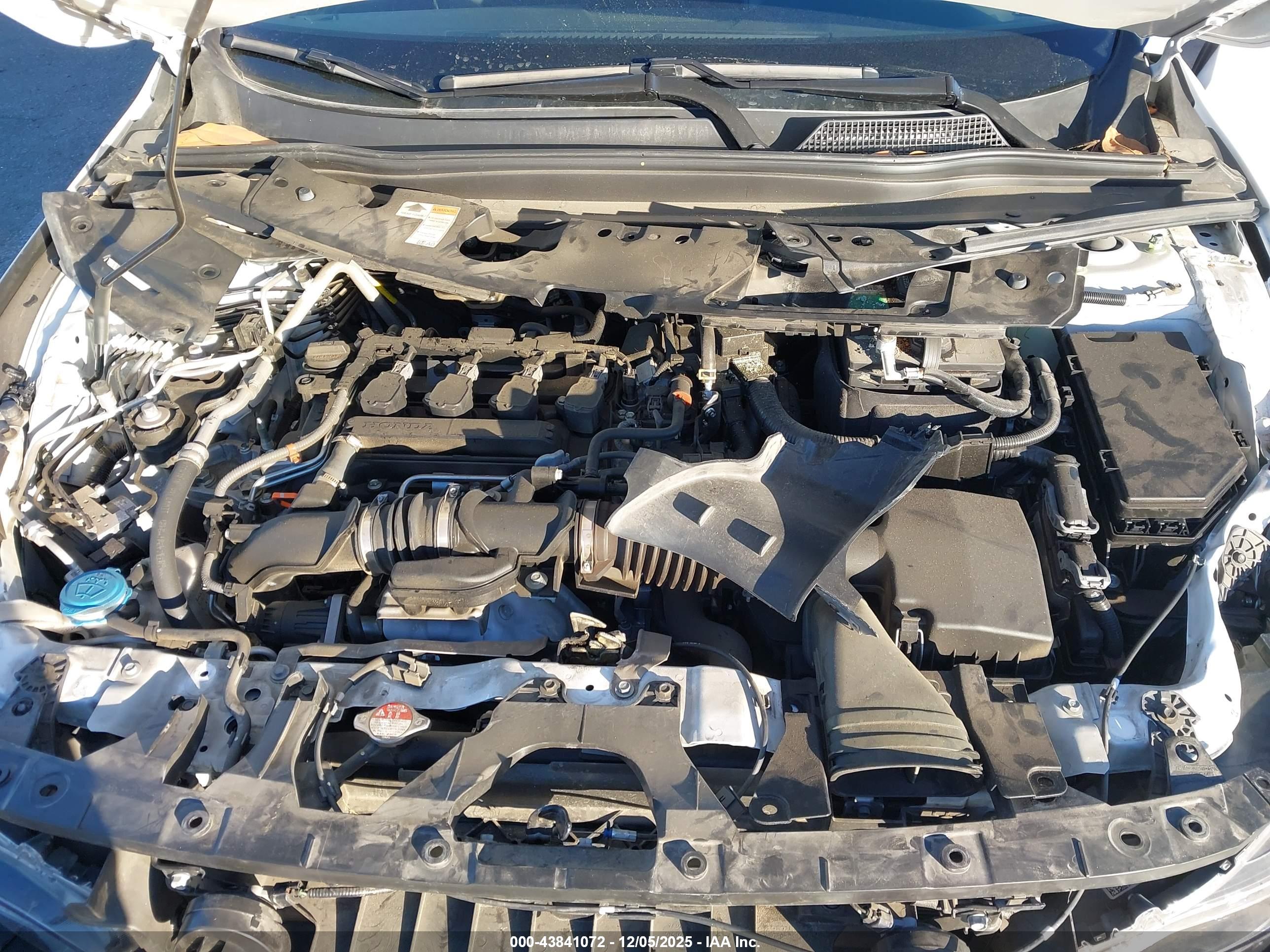 HONDA ACCORD image 10