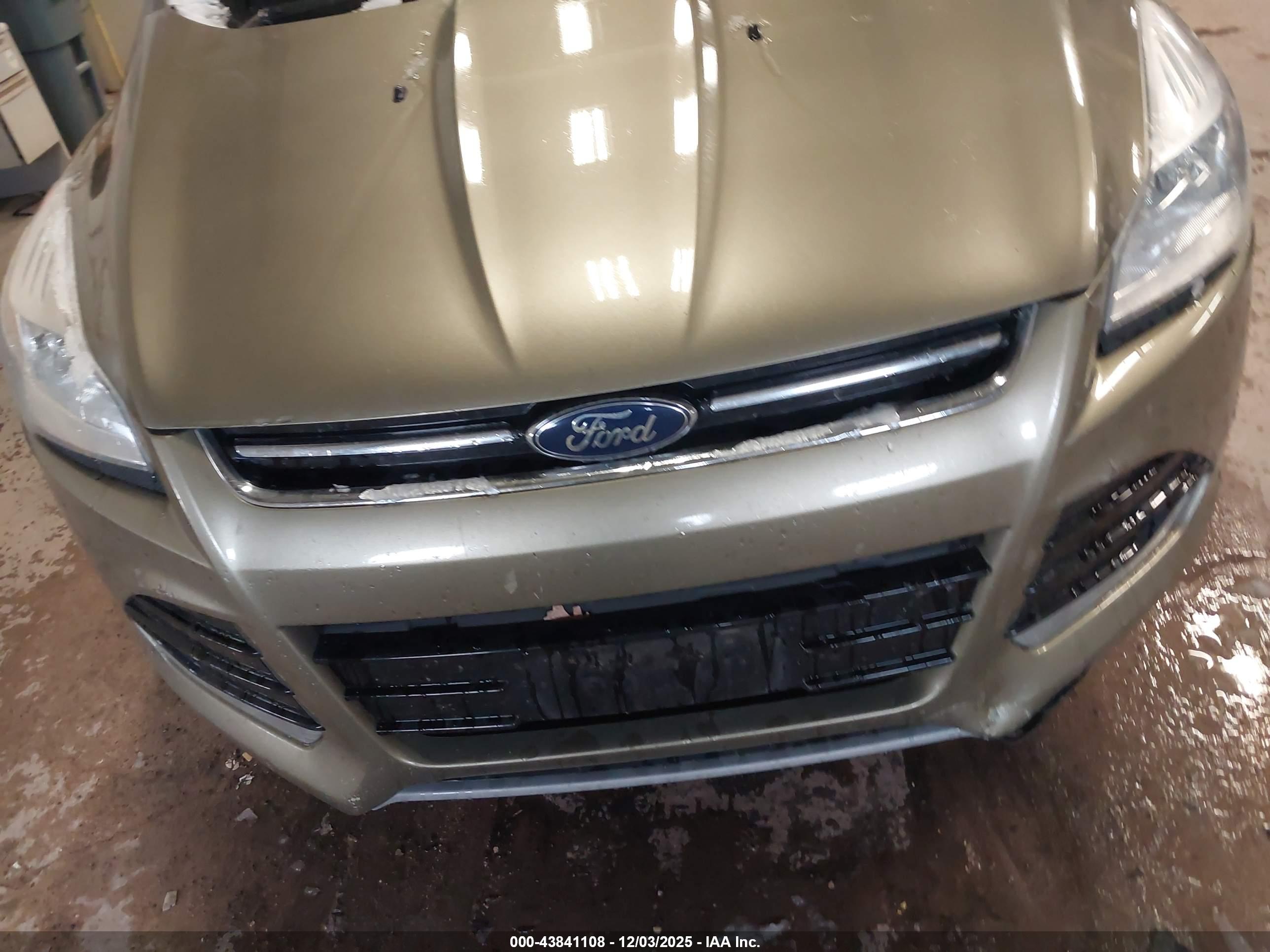 FORD ESCAPE image 6