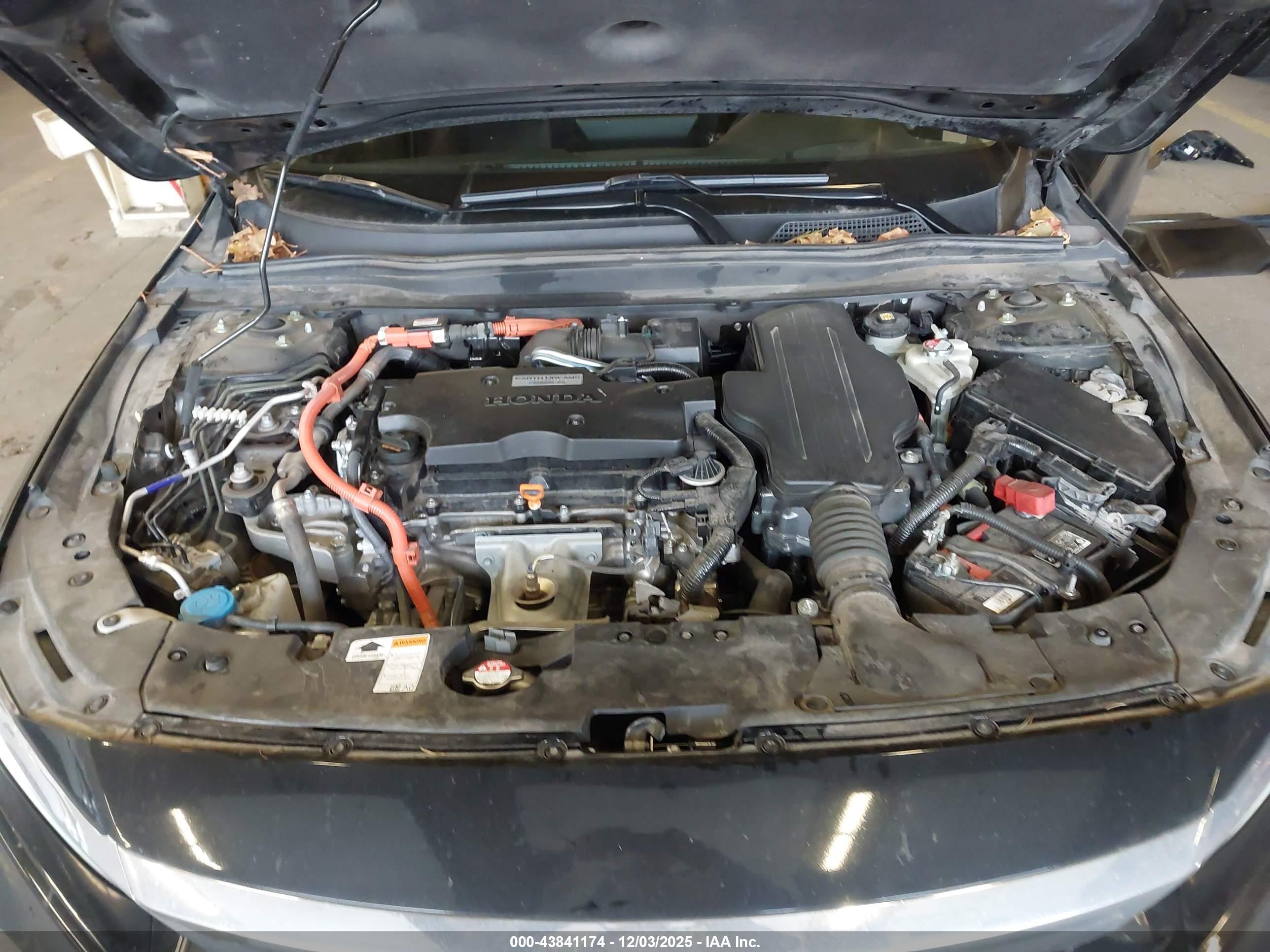 HONDA ACCORD image 10