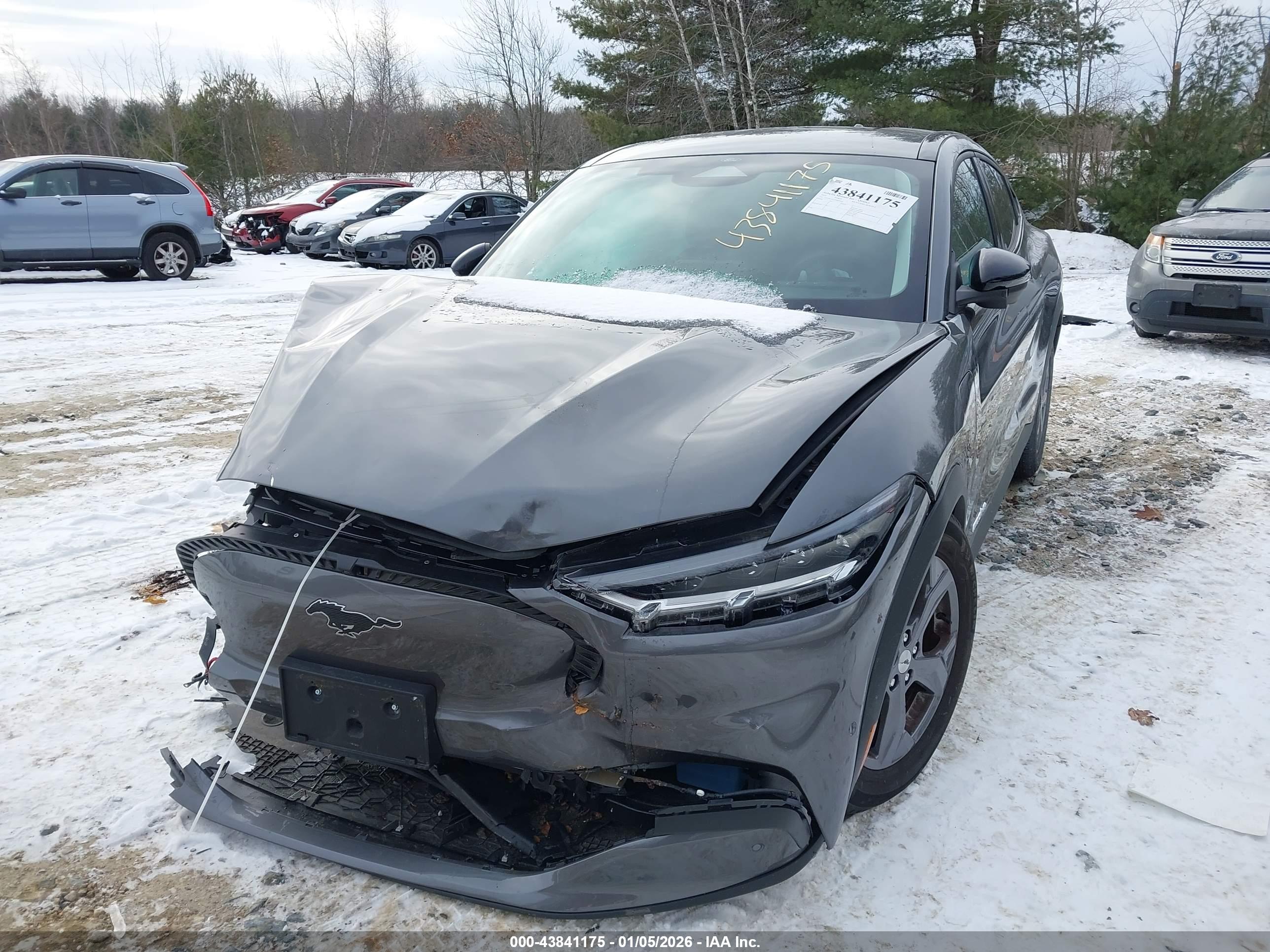 FORD MUSTANG image 2