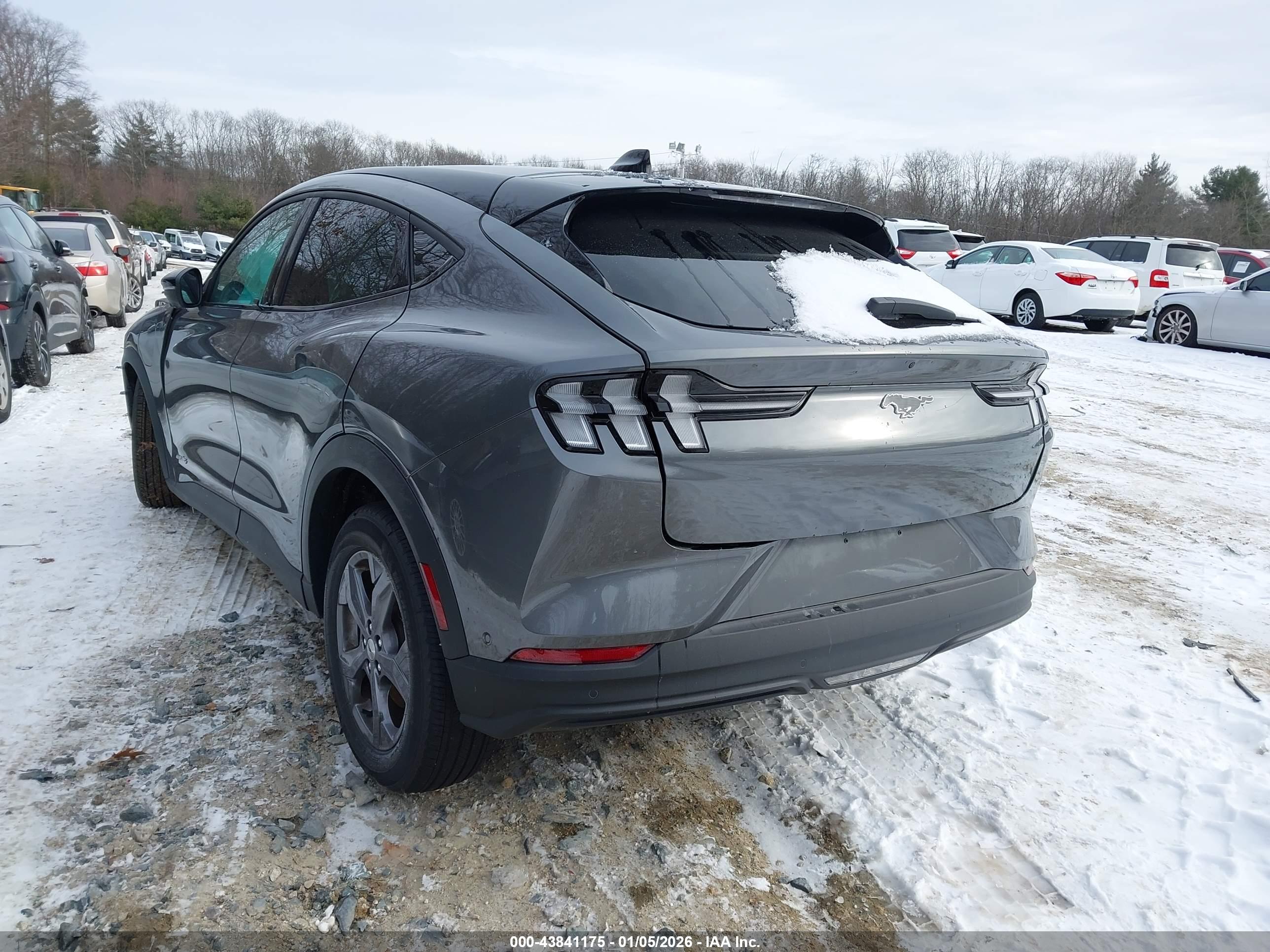 FORD MUSTANG image 3