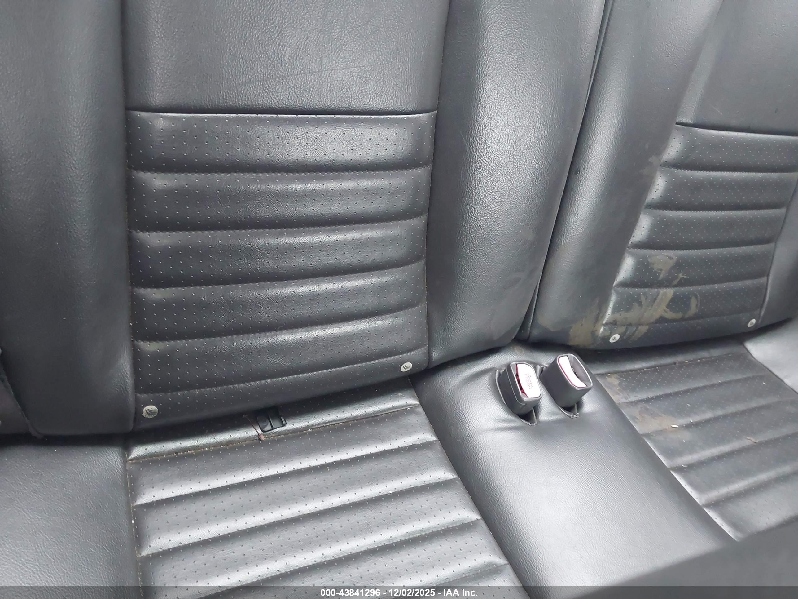 FORD MUSTANG image 8