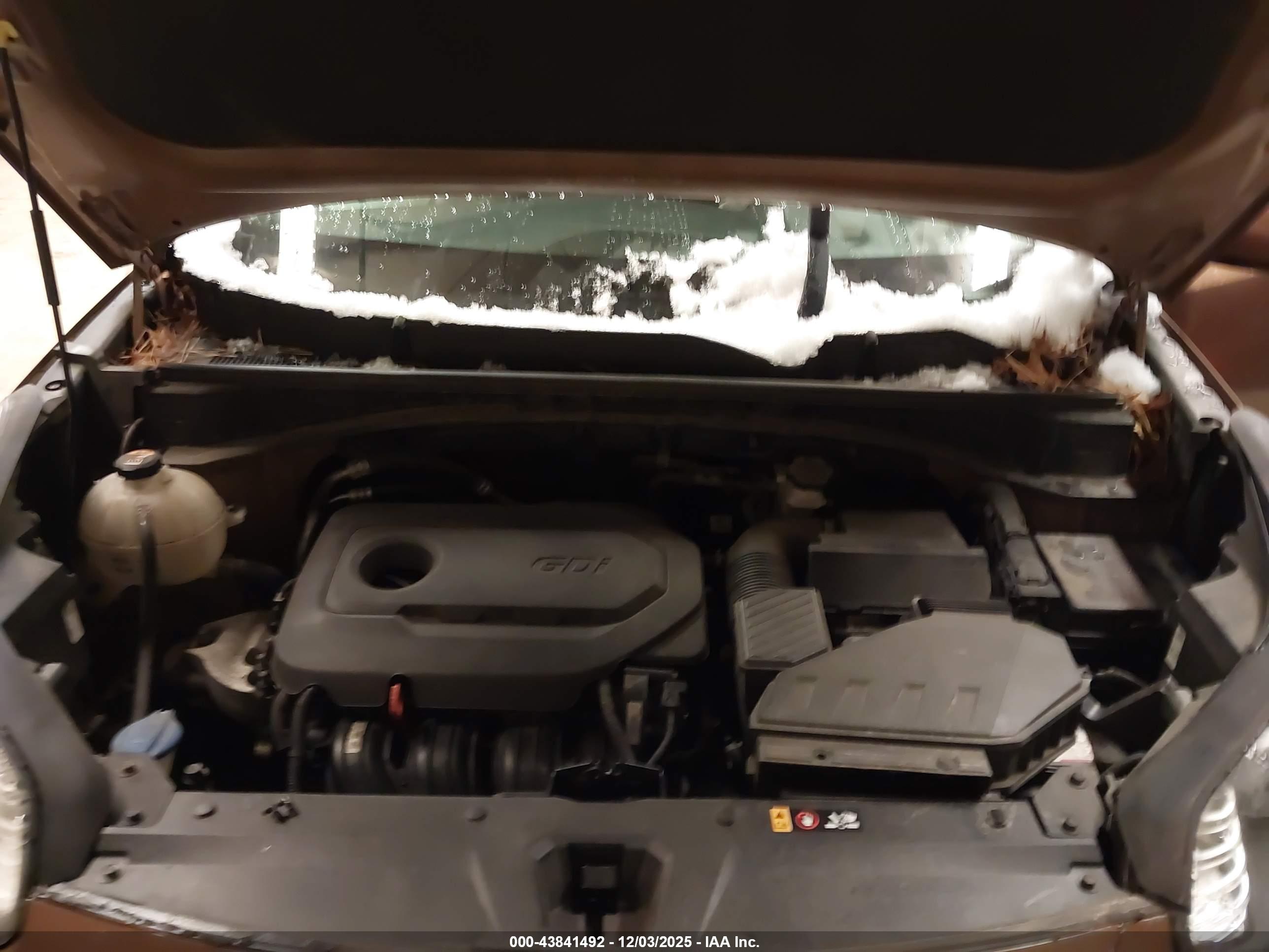 KIA SPORTAGE image 10