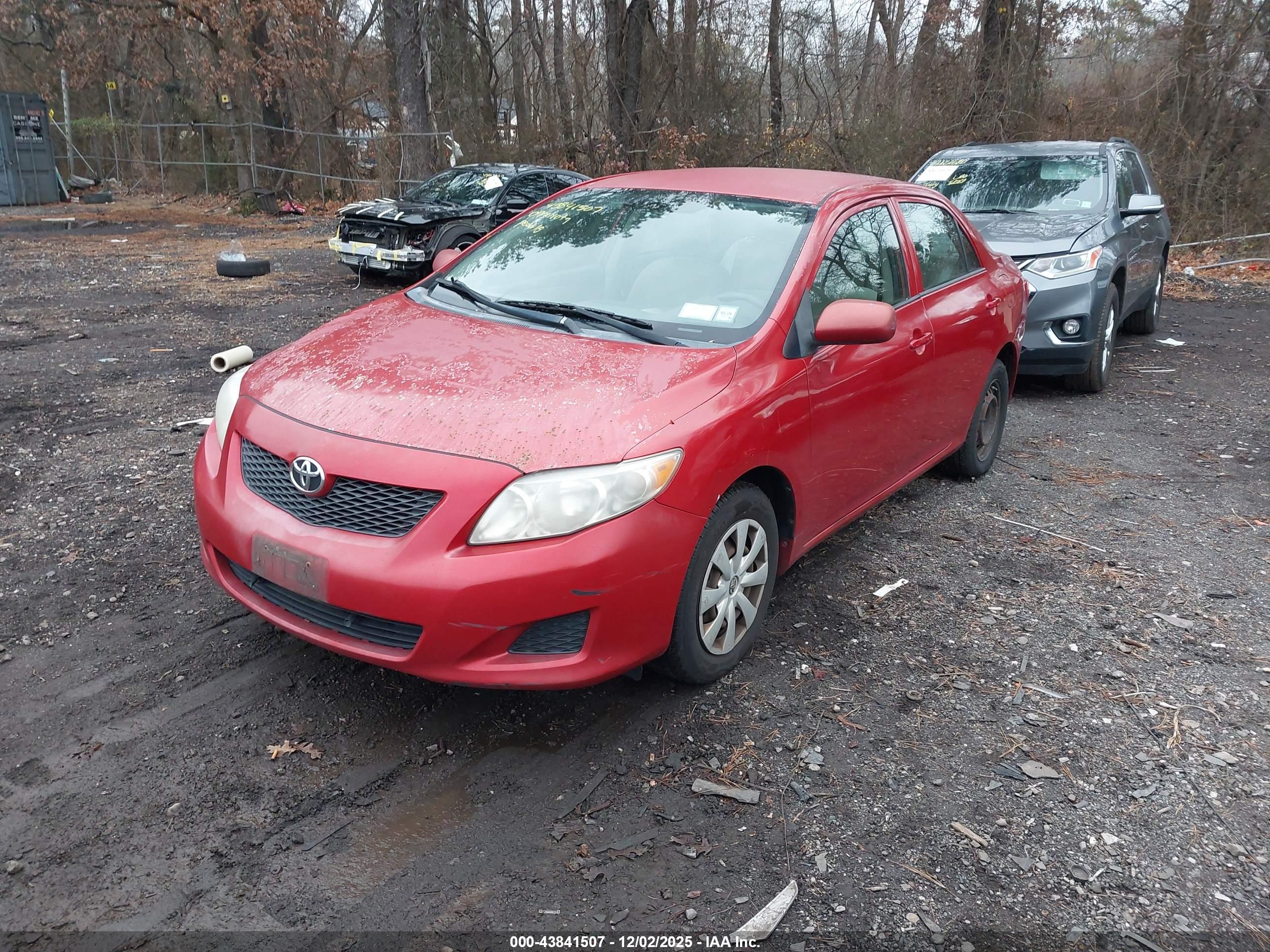 TOYOTA COROLLA image 2
