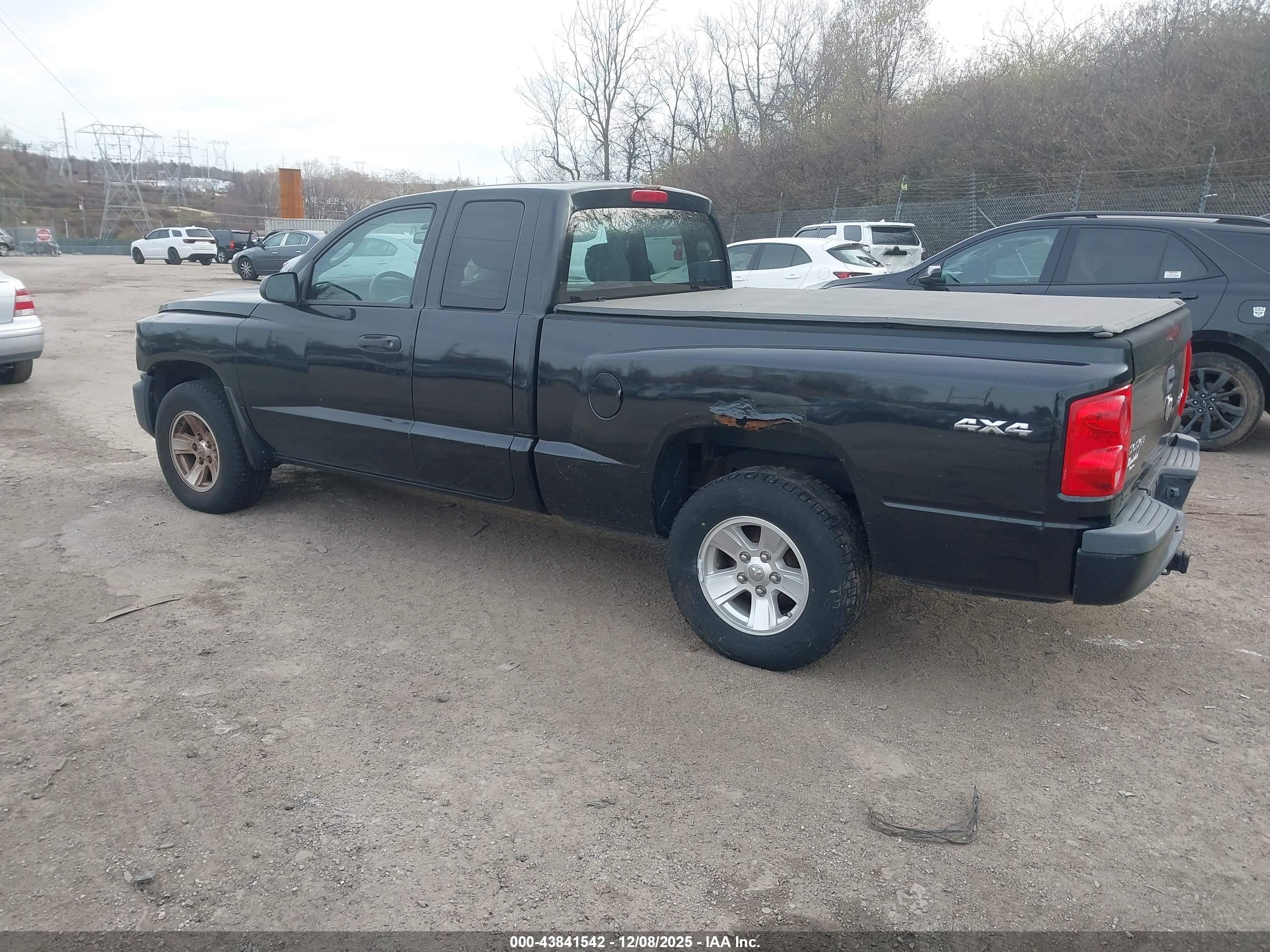 DODGE DAKOTA image 3