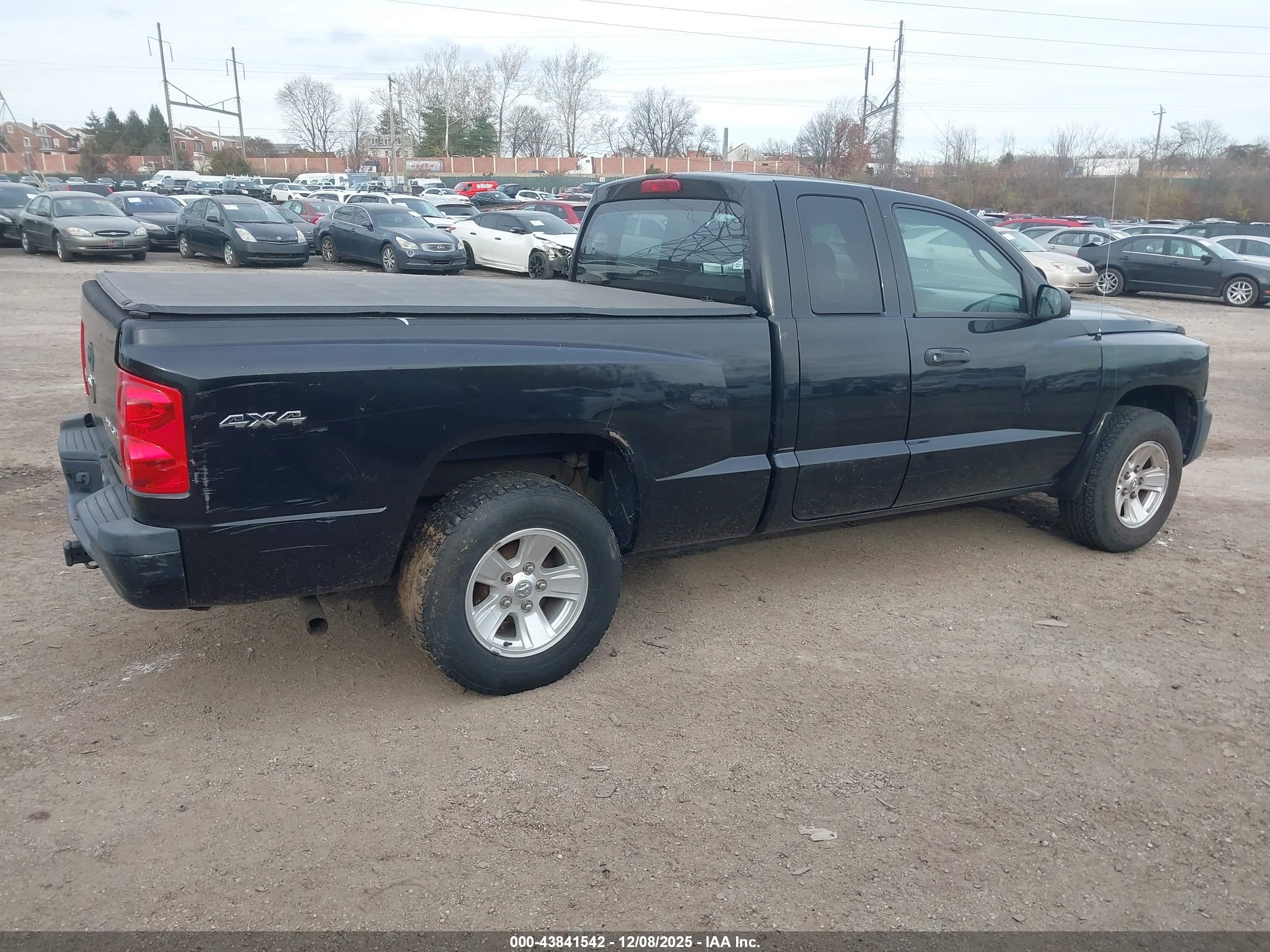 DODGE DAKOTA image 4