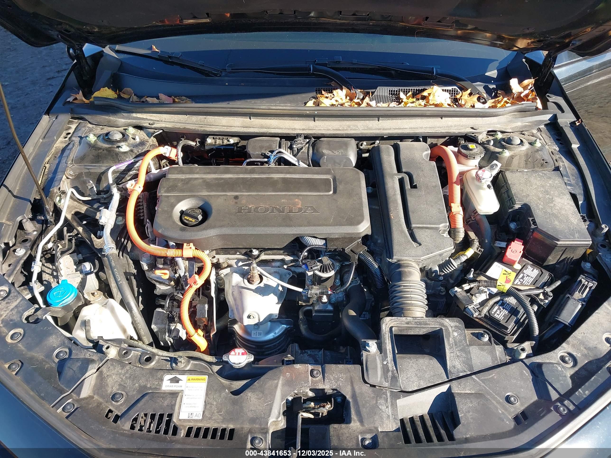HONDA ACCORD image 10