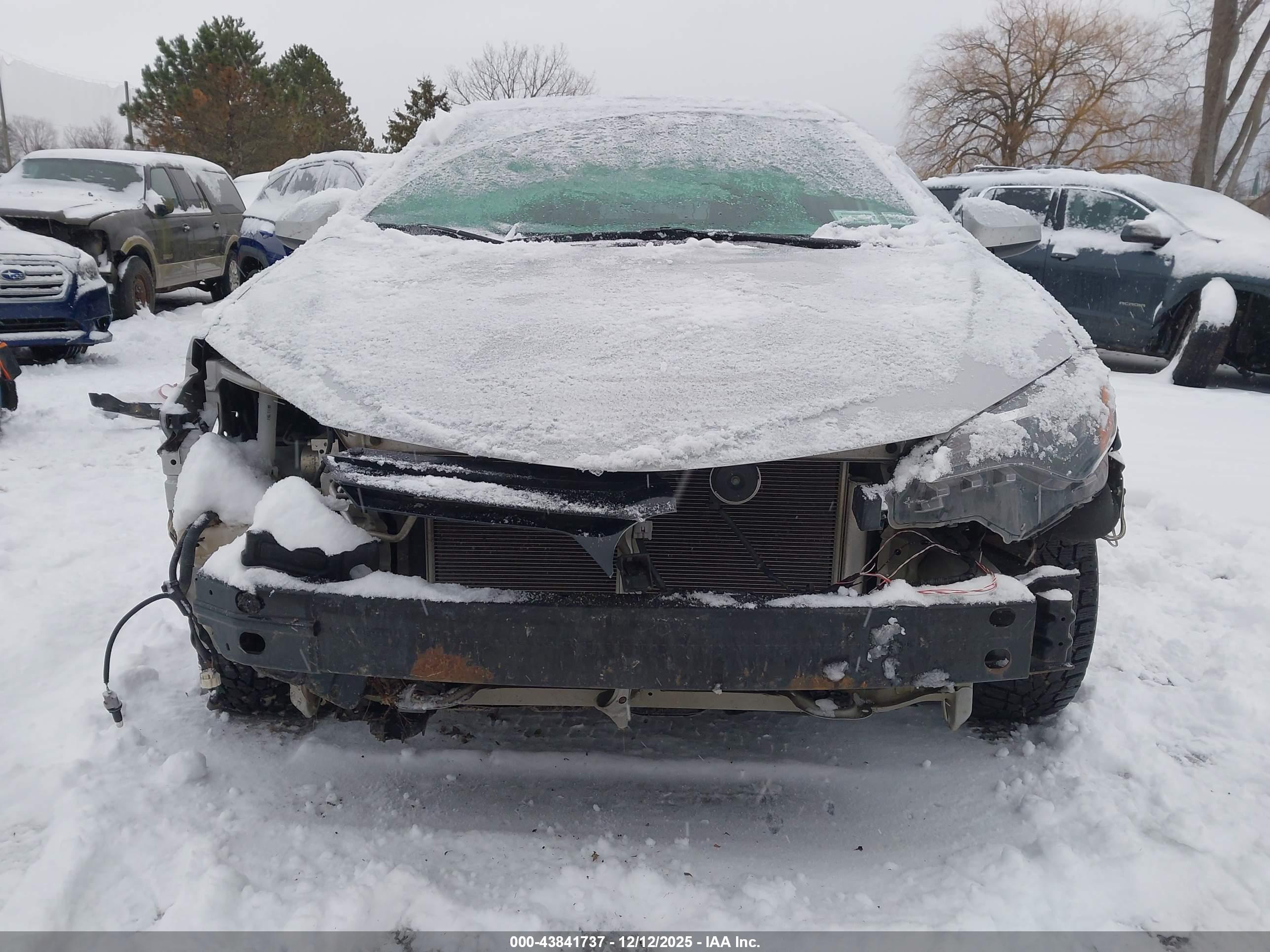 TOYOTA COROLLA image 6