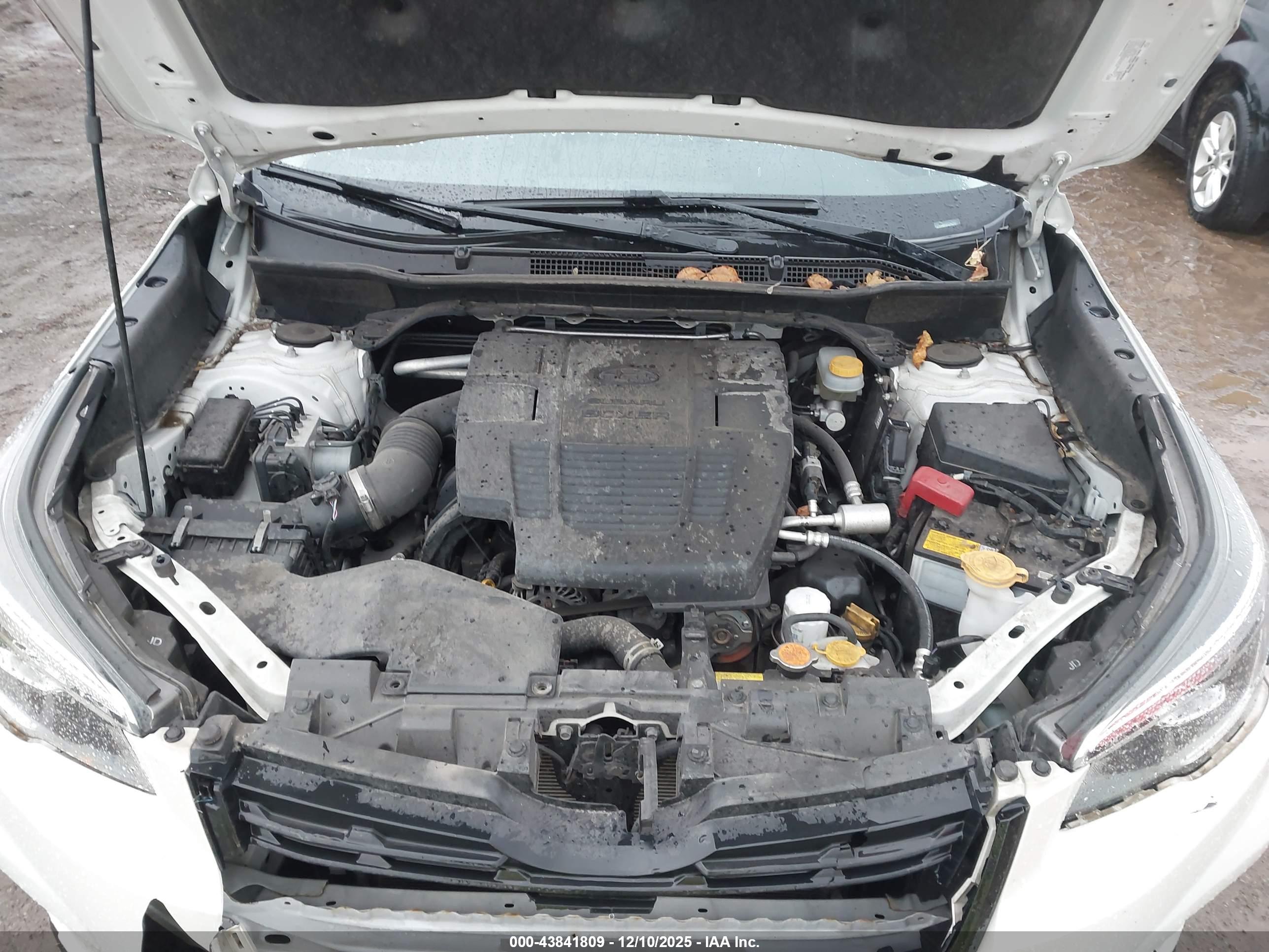 SUBARU FORESTER image 10
