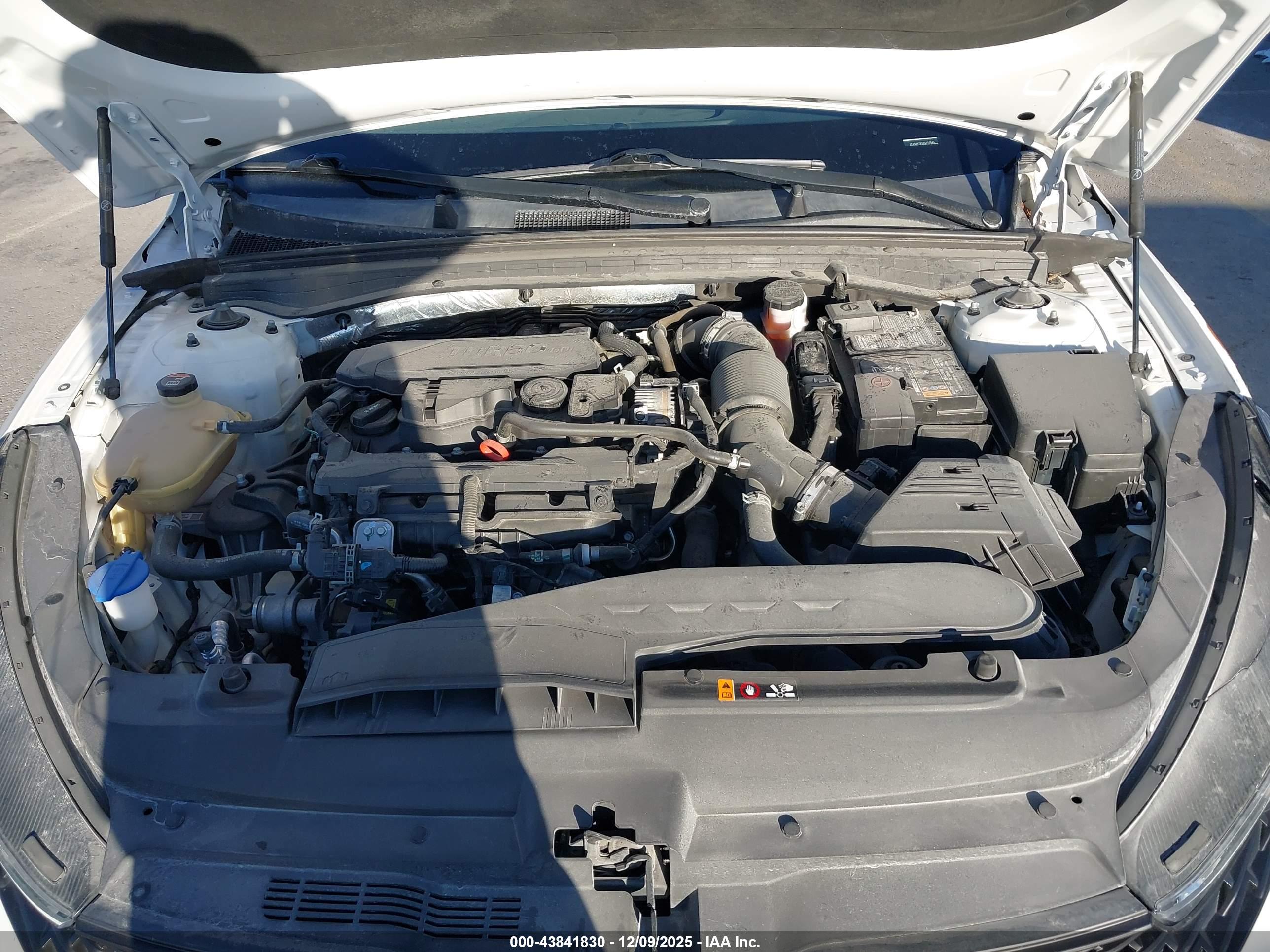 KIA K5 image 10