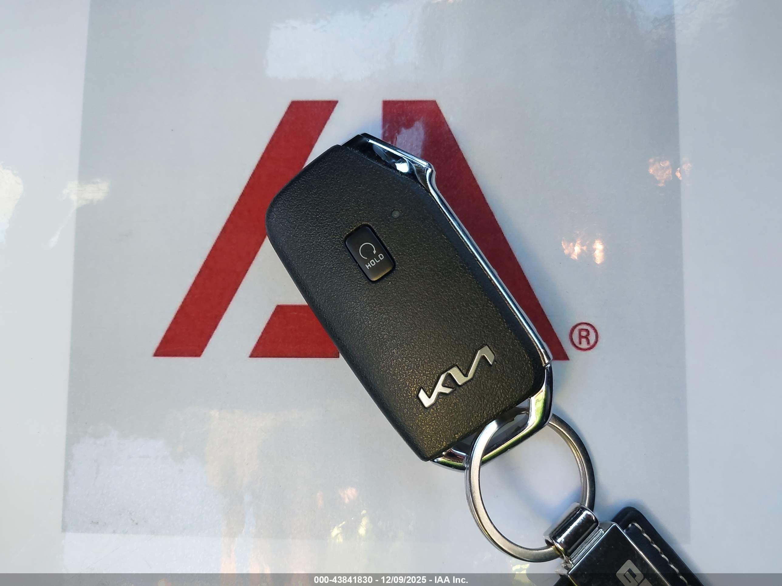 KIA K5 image 11