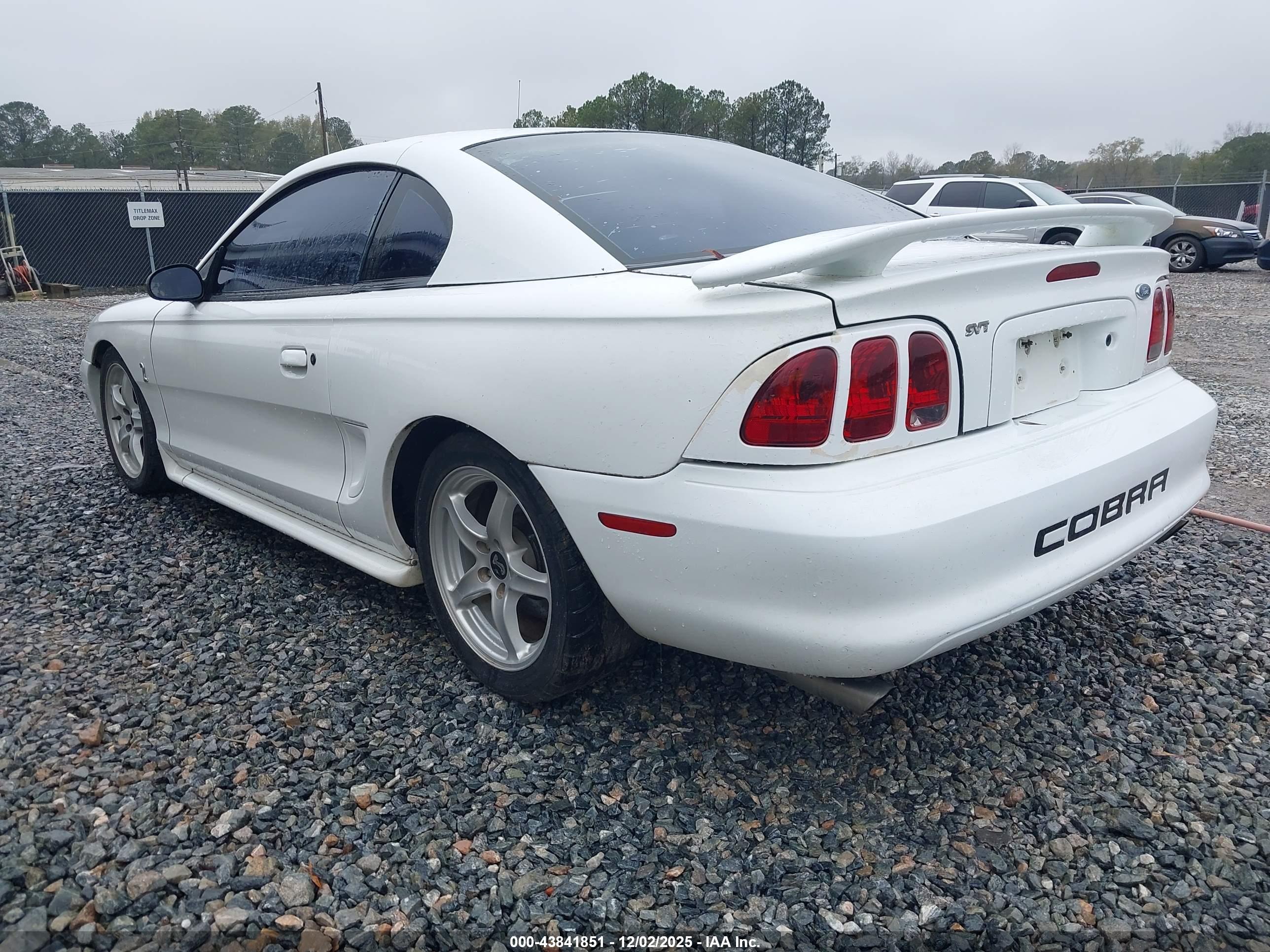 FORD MUSTANG image 3