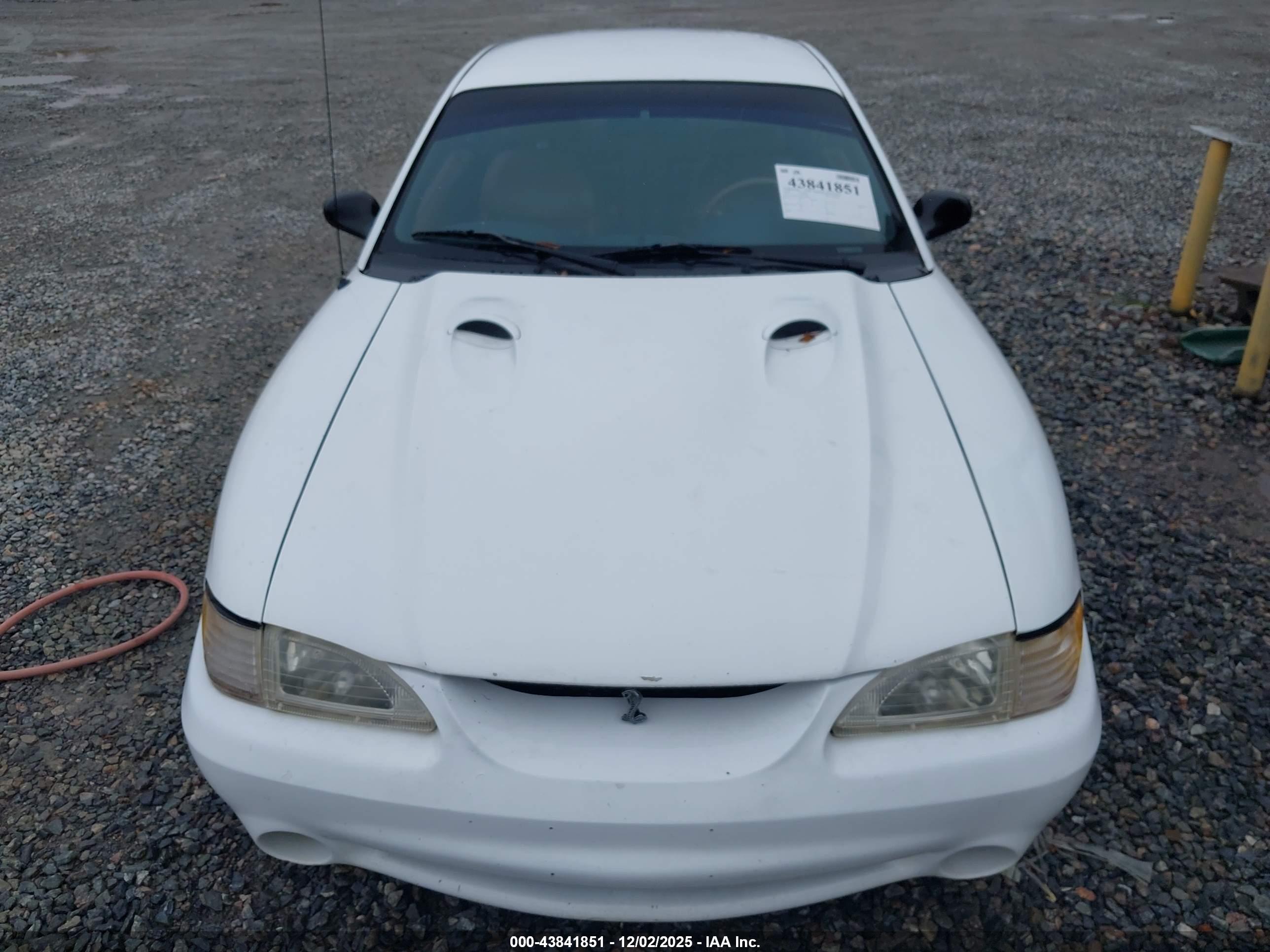 FORD MUSTANG image 6