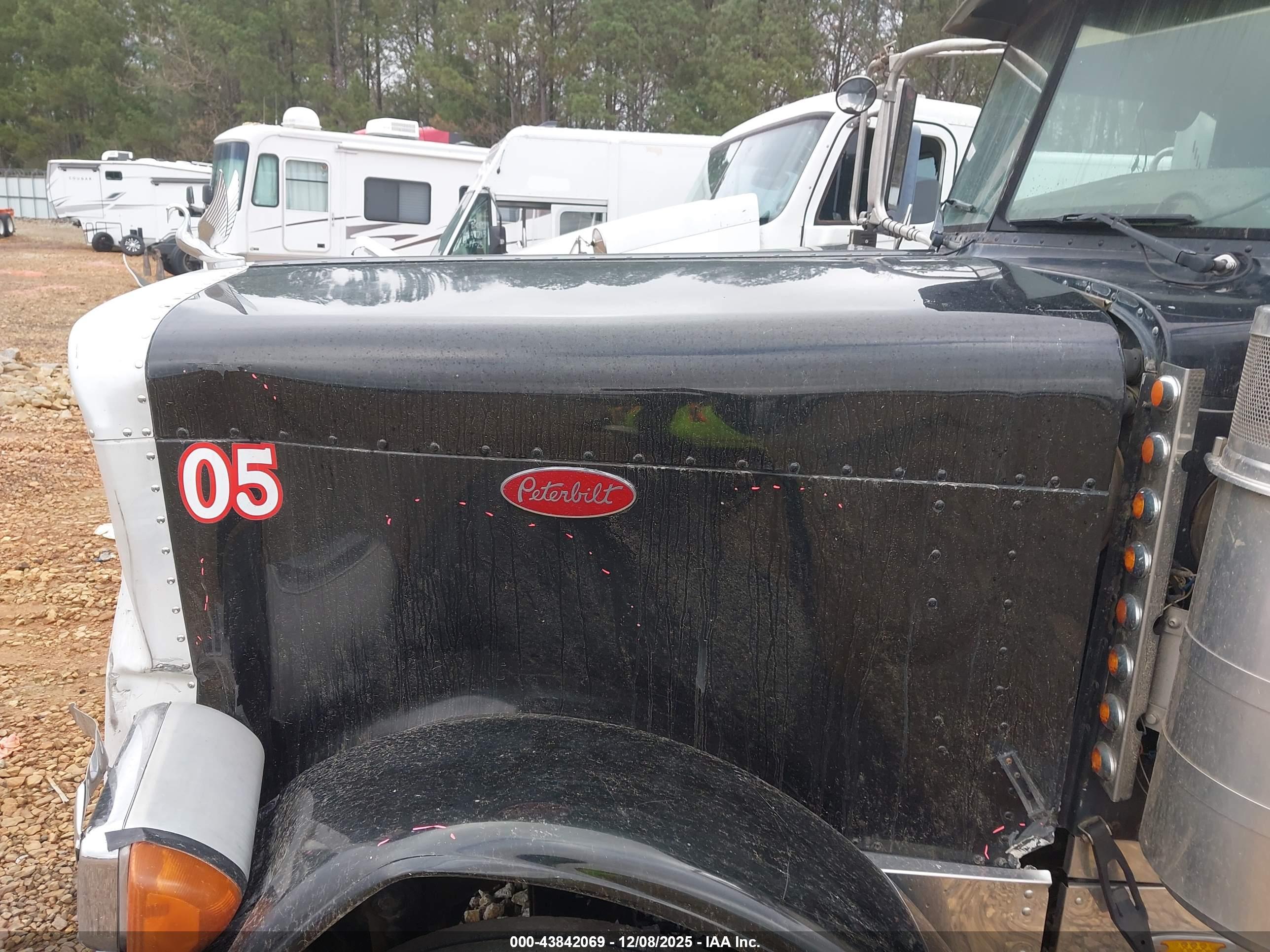 PETERBILT 379 image 10