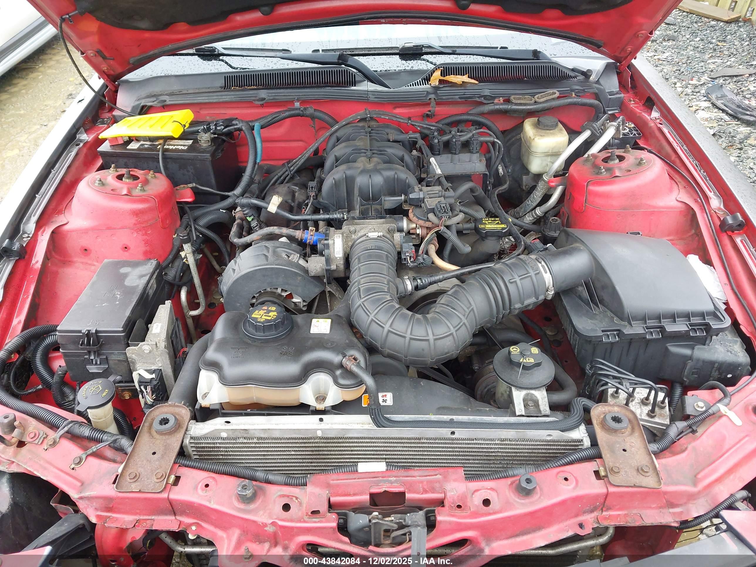 FORD MUSTANG image 10