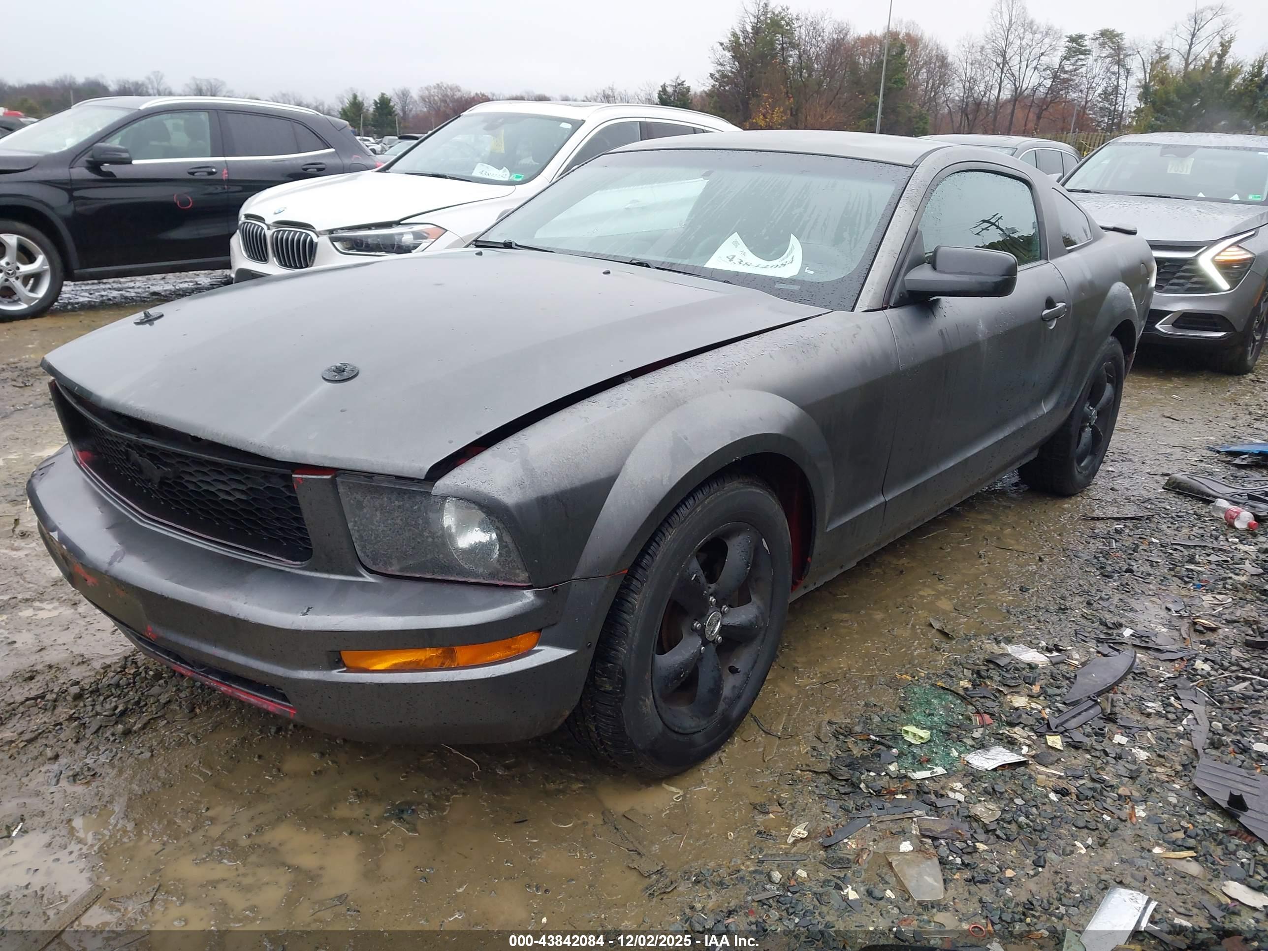 FORD MUSTANG image 2
