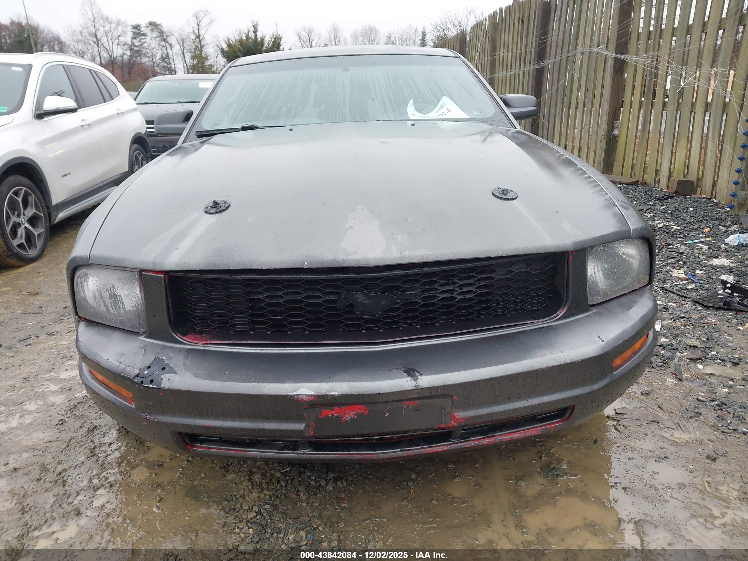 FORD MUSTANG image 6