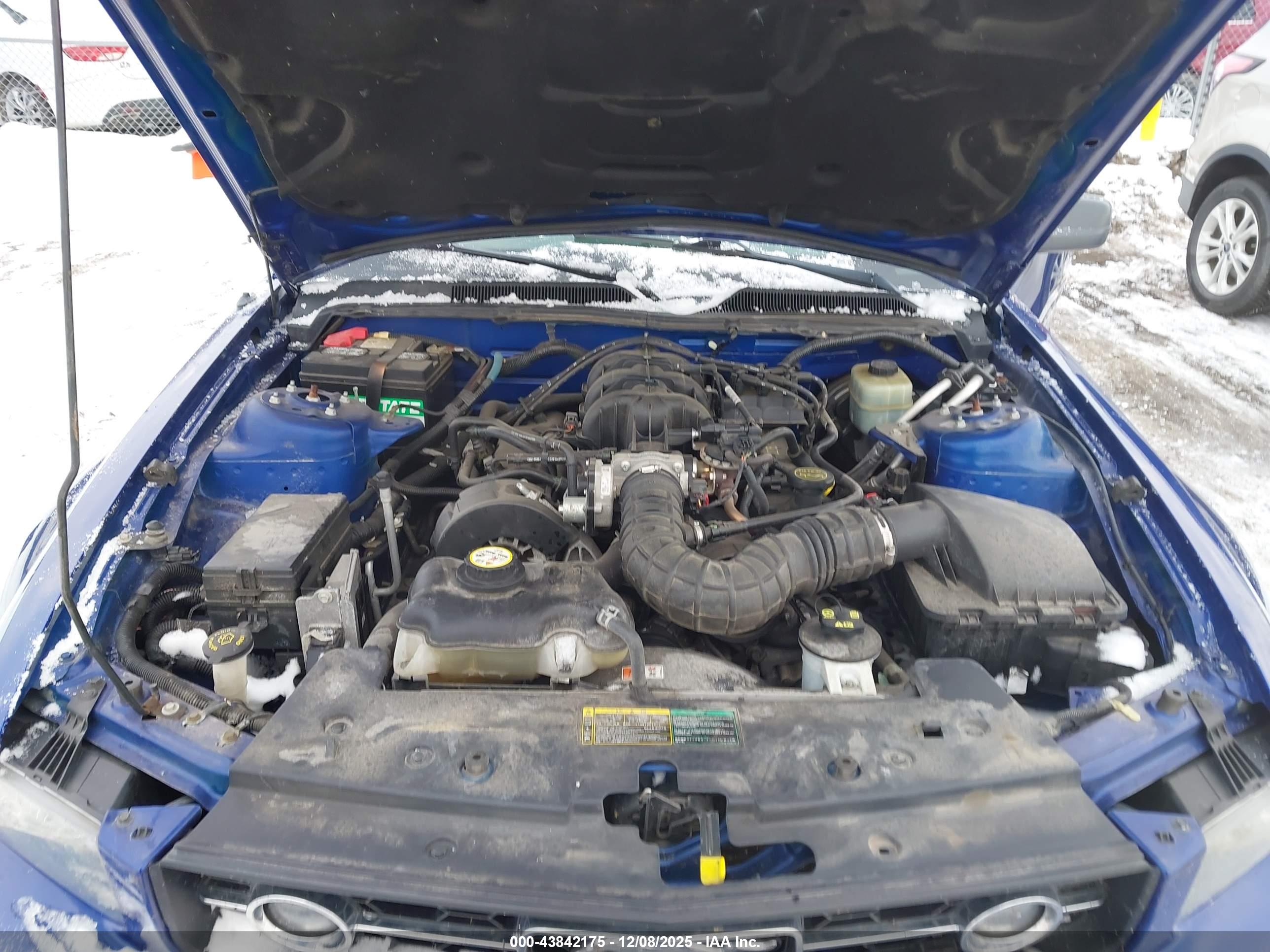 FORD MUSTANG image 10