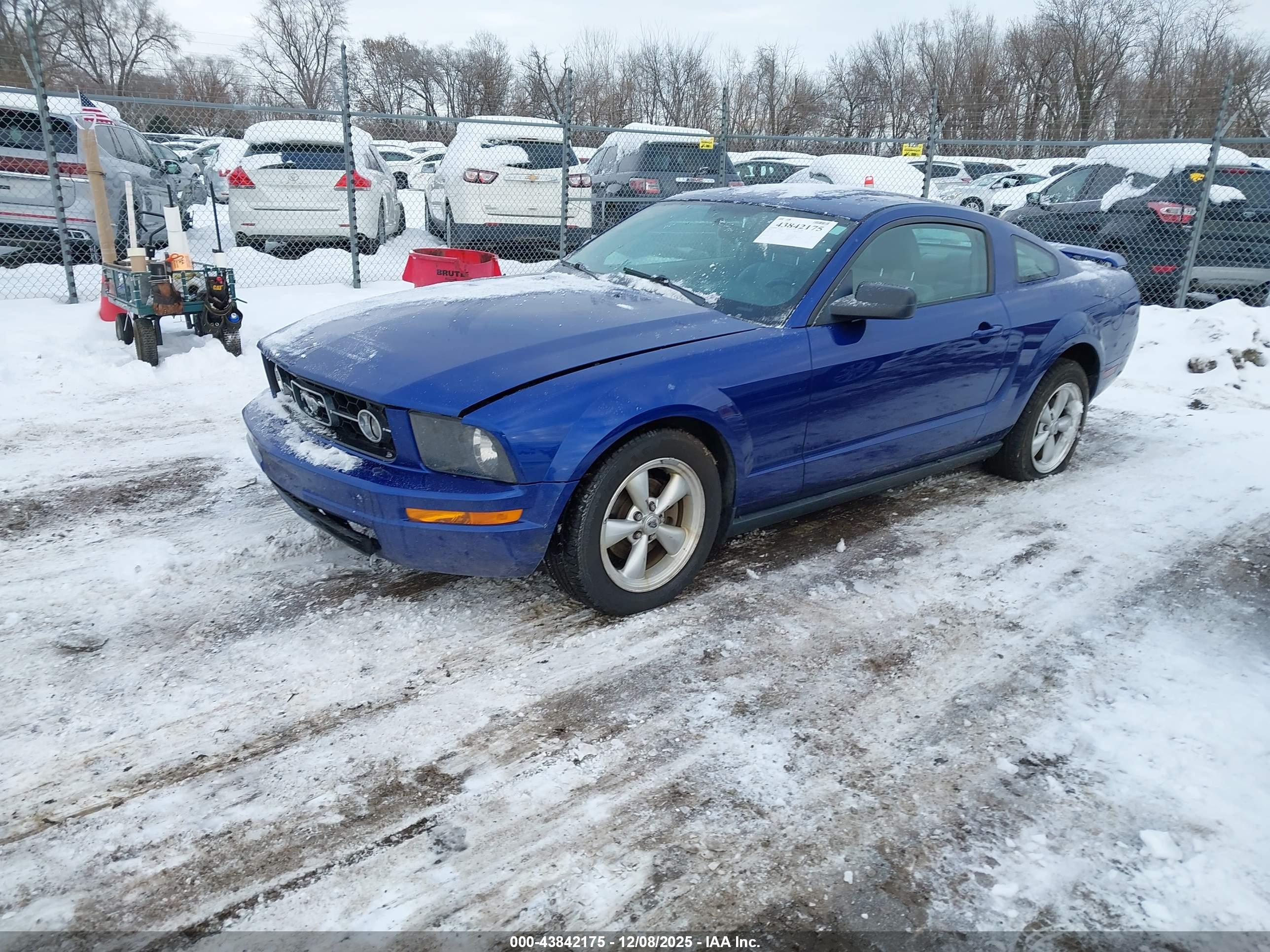 FORD MUSTANG image 2