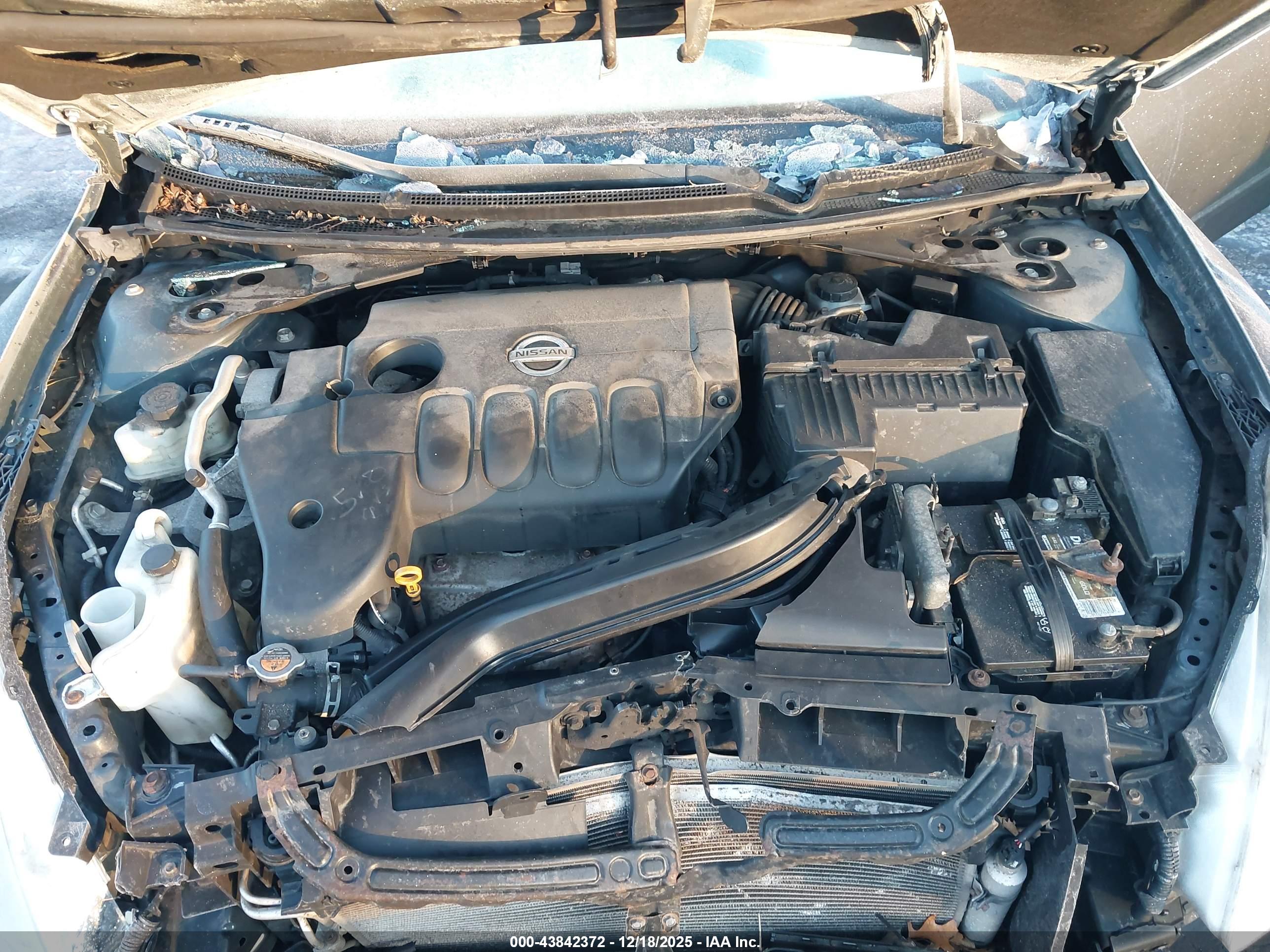 NISSAN ALTIMA image 10
