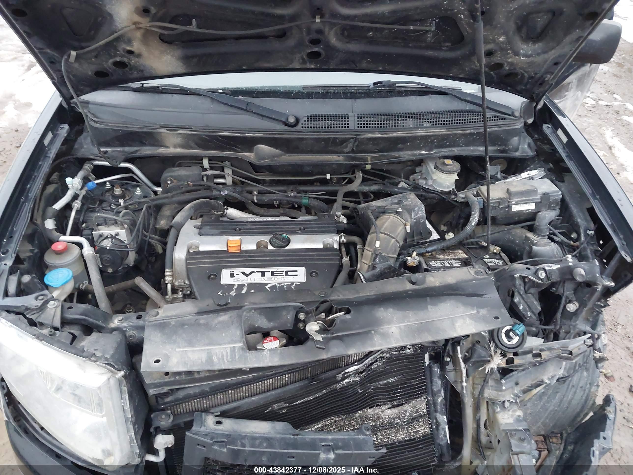 HONDA ELEMENT image 10