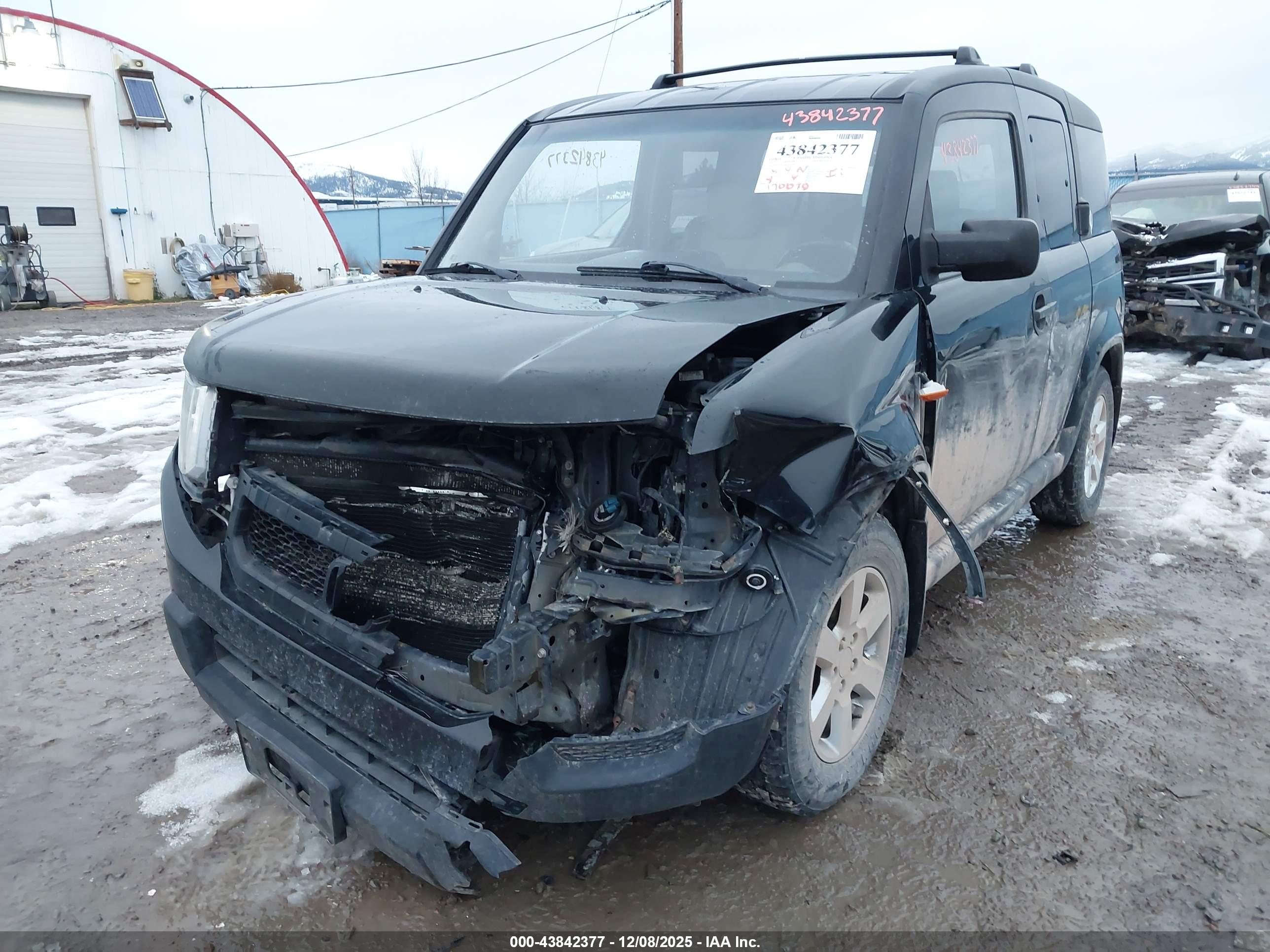 HONDA ELEMENT image 6