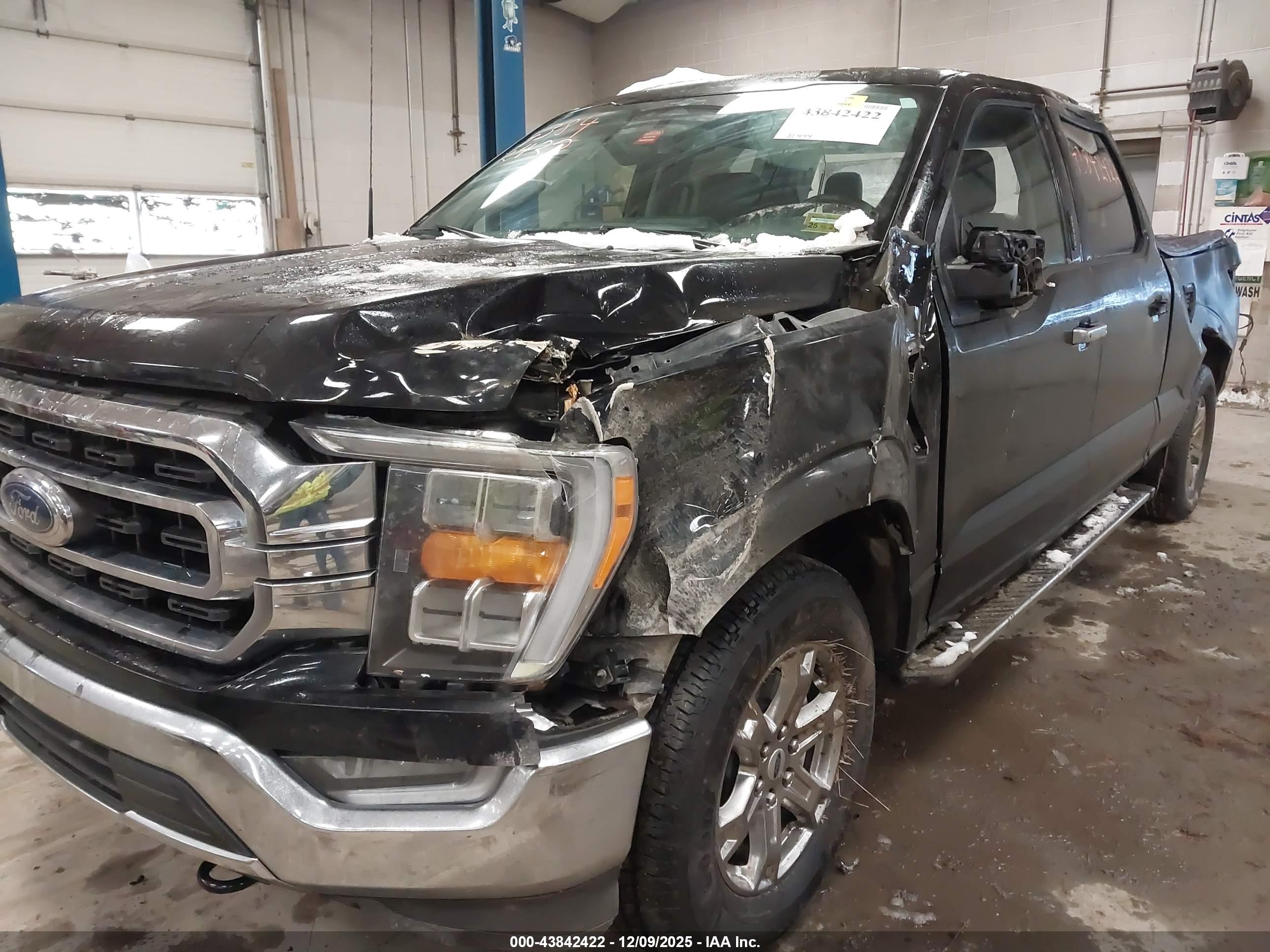 FORD F-150 image 6