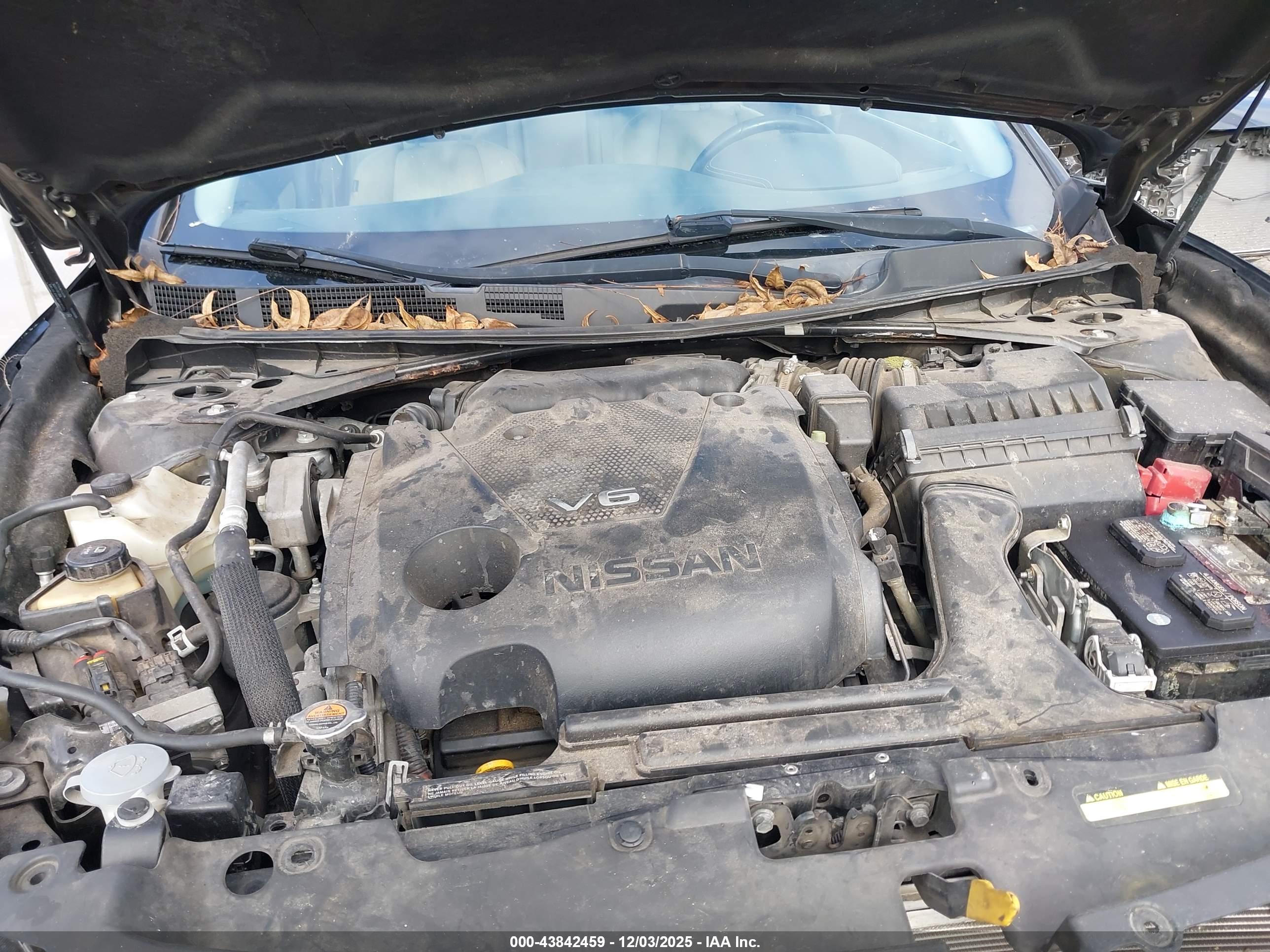 NISSAN MAXIMA image 10