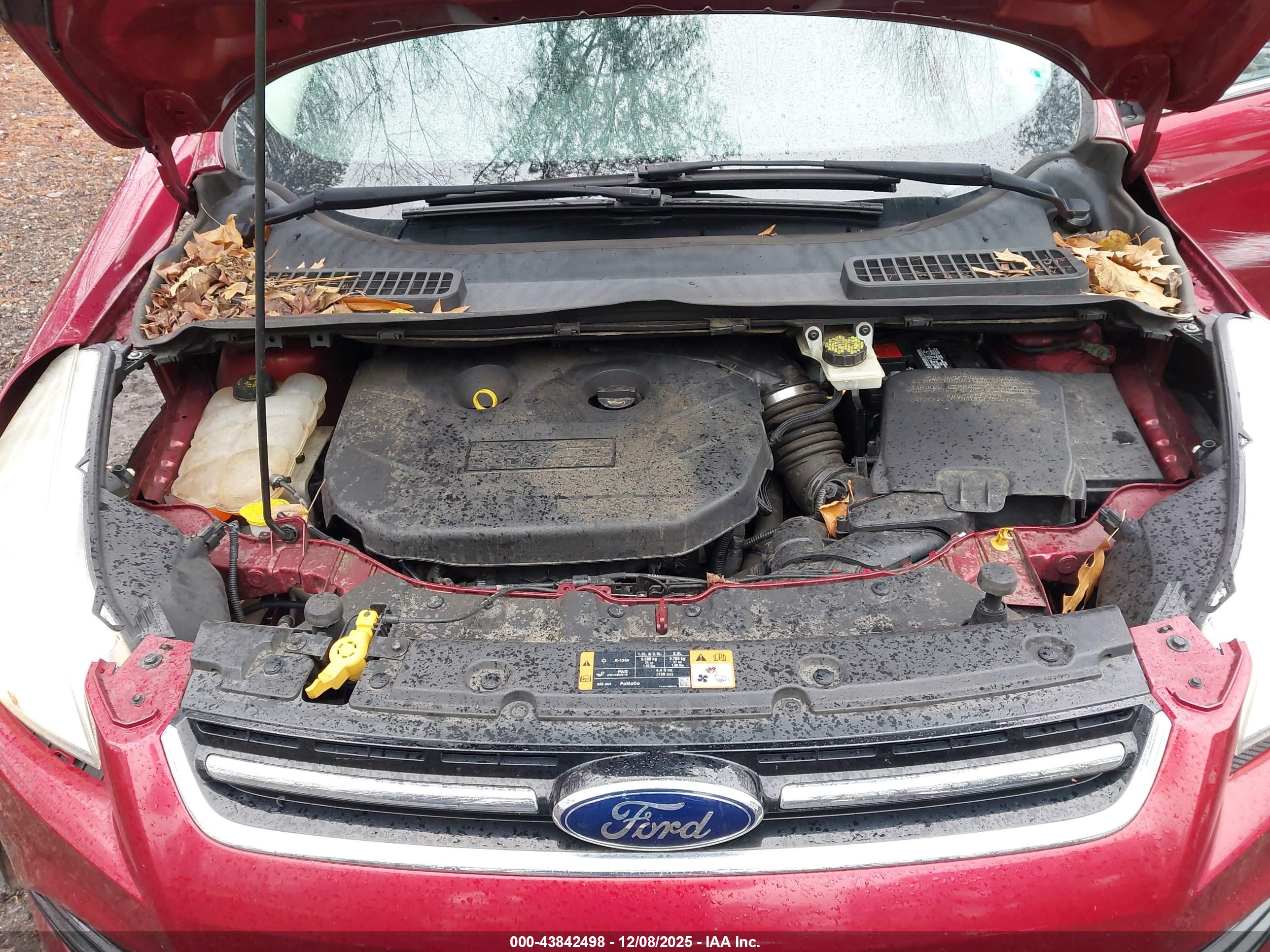 FORD ESCAPE image 10