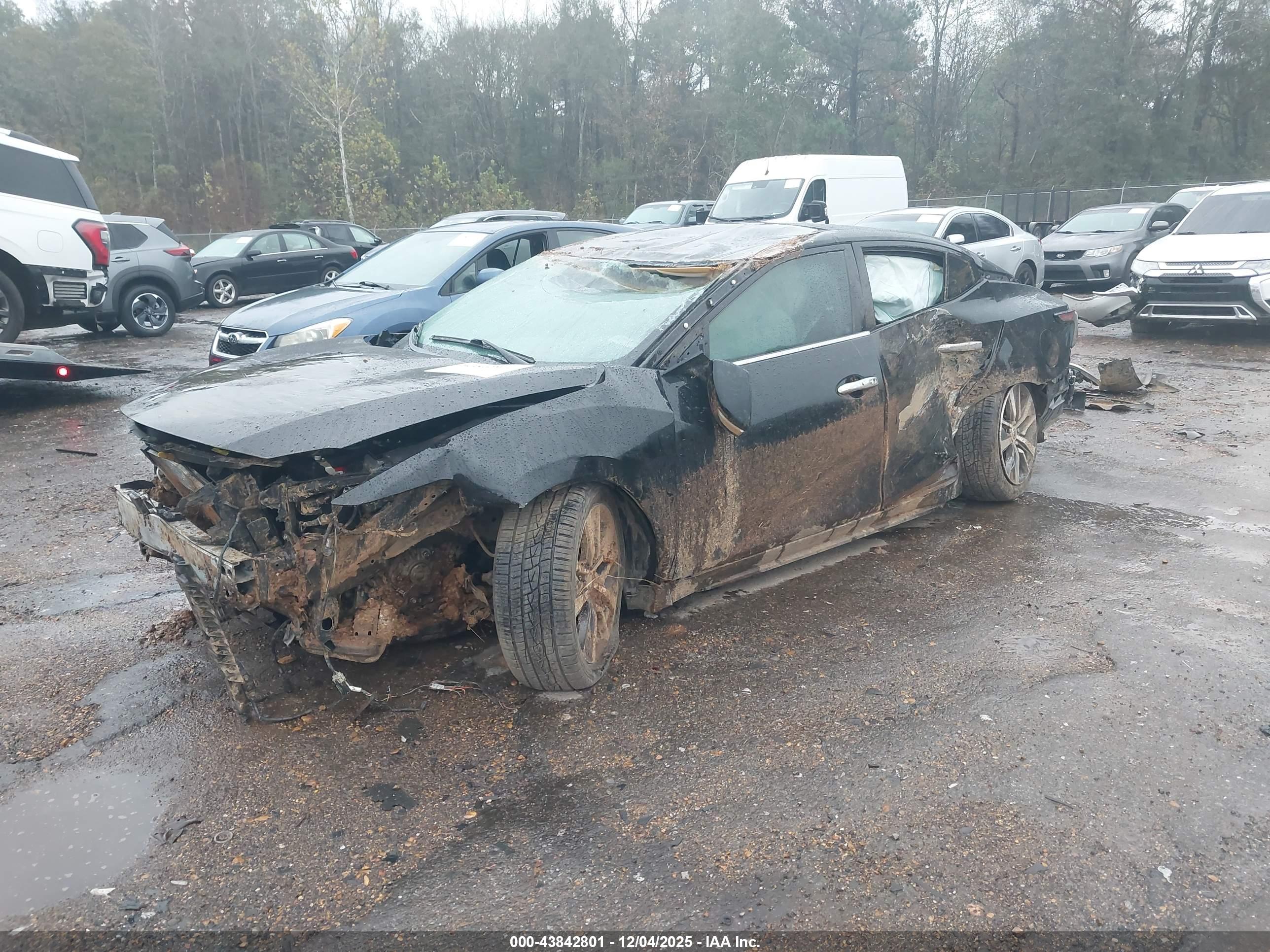 NISSAN MAXIMA image 2